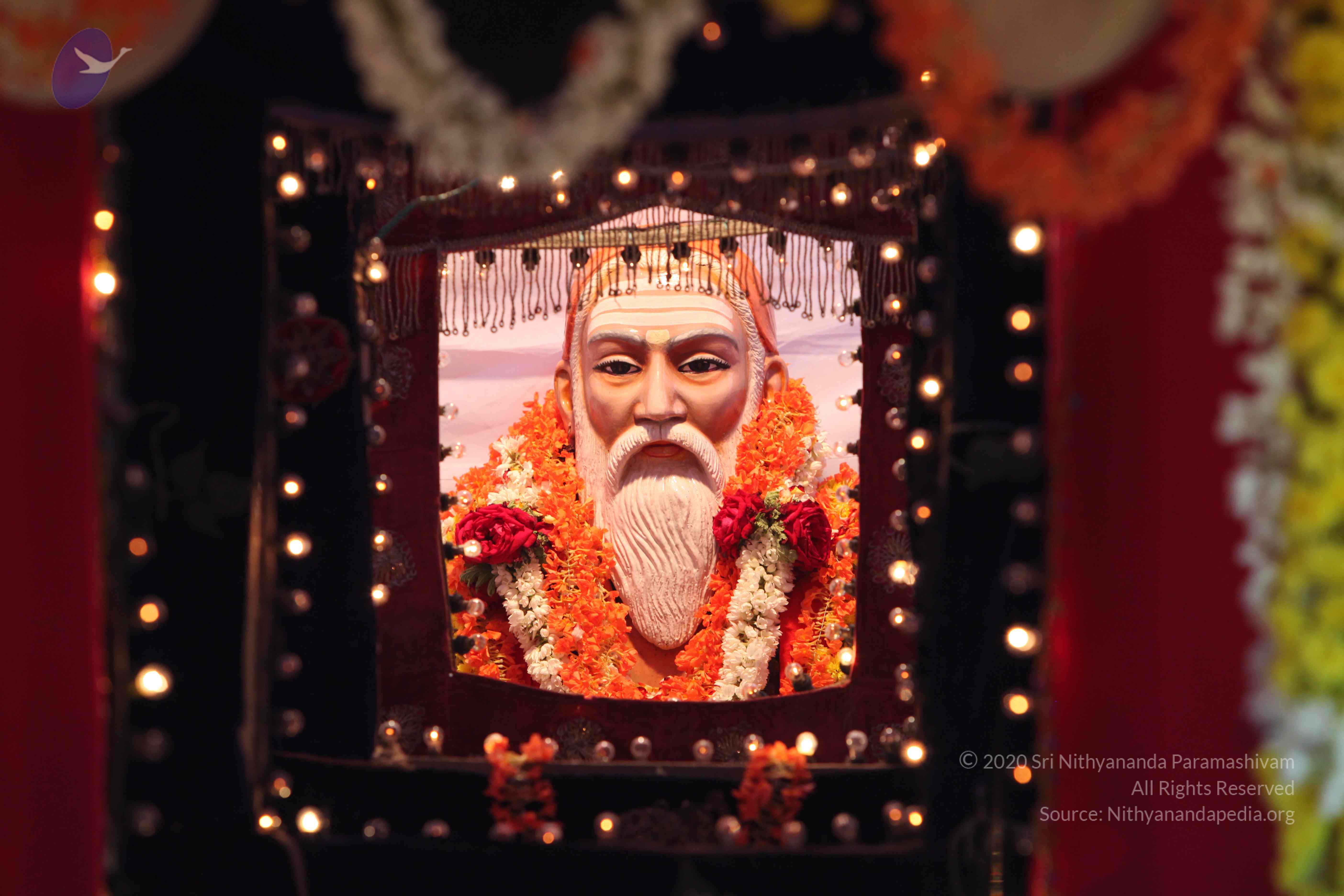 20100113_Photo_1026_IMG_0465_CMP_WM