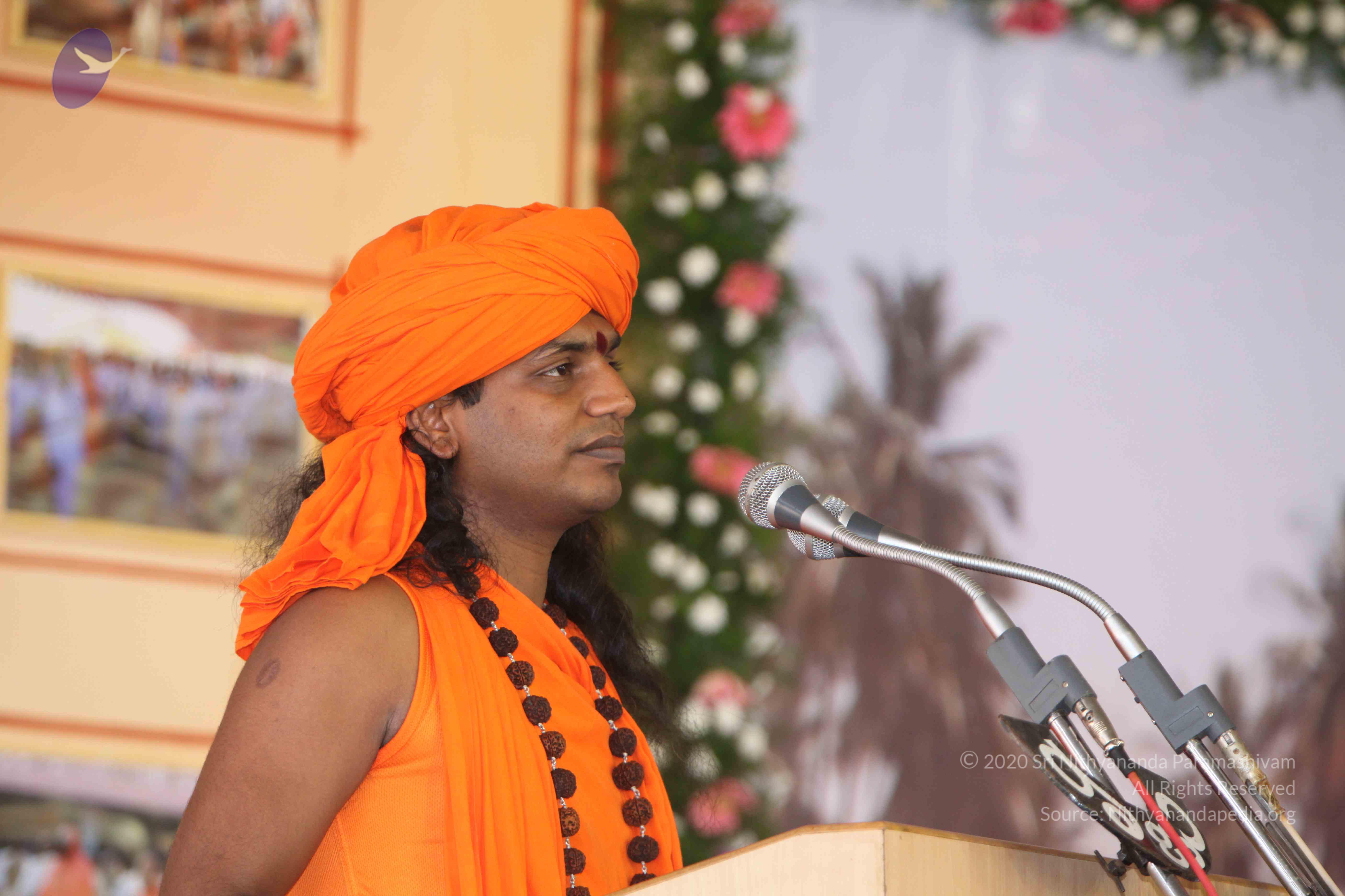 20100113_Photo_1027_IMG_0513_CMP_WM