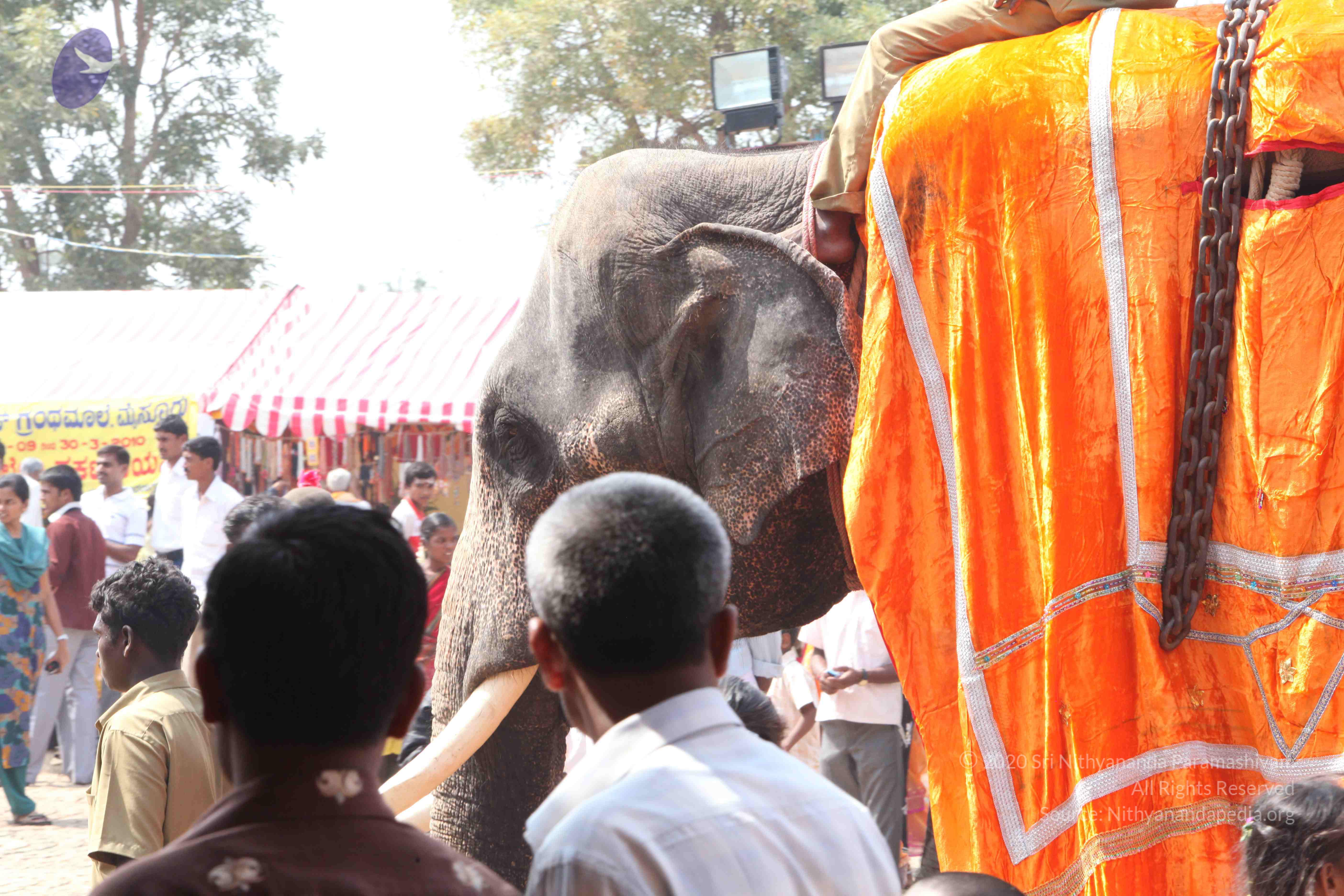 20100113_Photo_1095_IMG_0456_CMP_WM