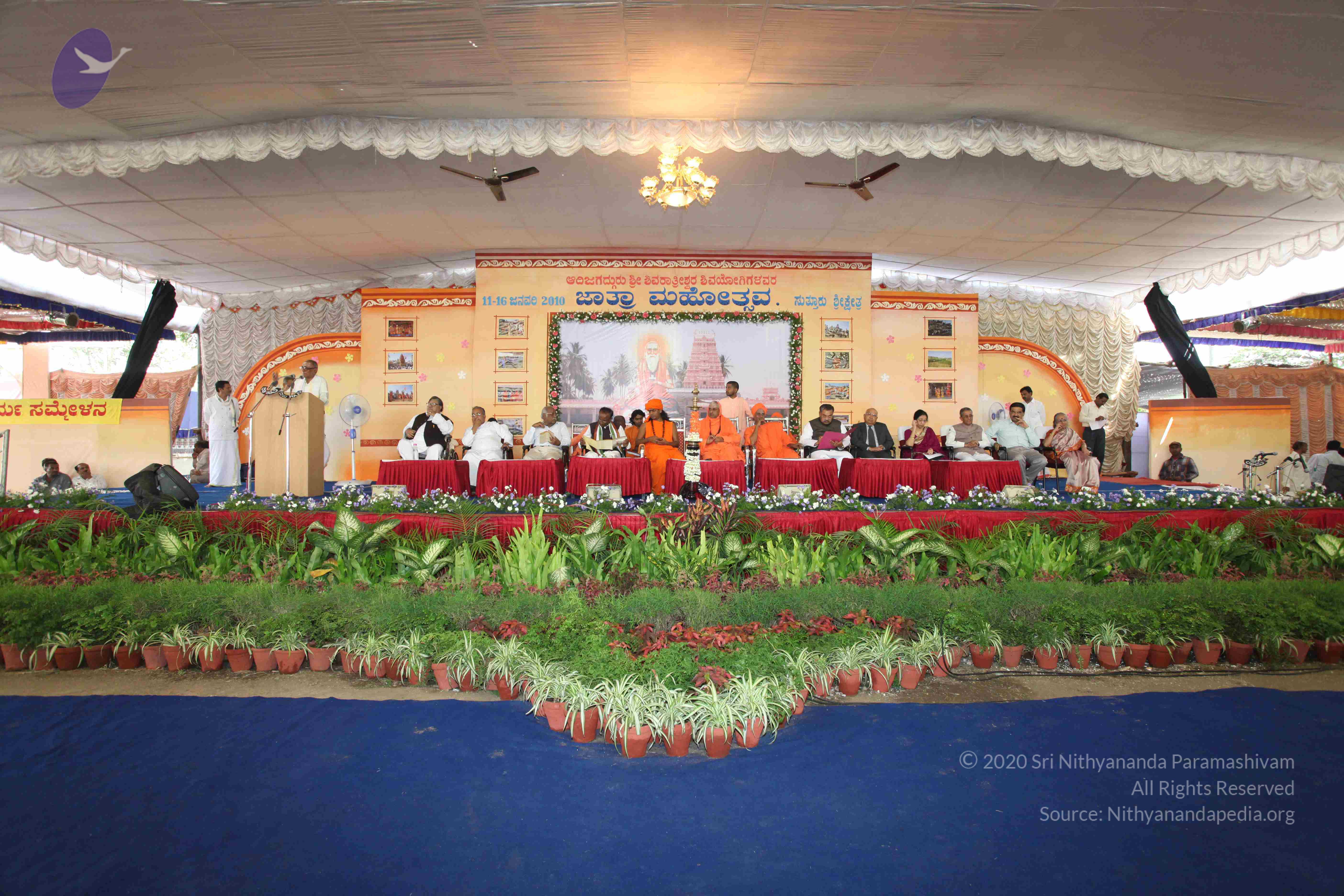 20100113_Photo_1097_IMG_0403_CMP_WM