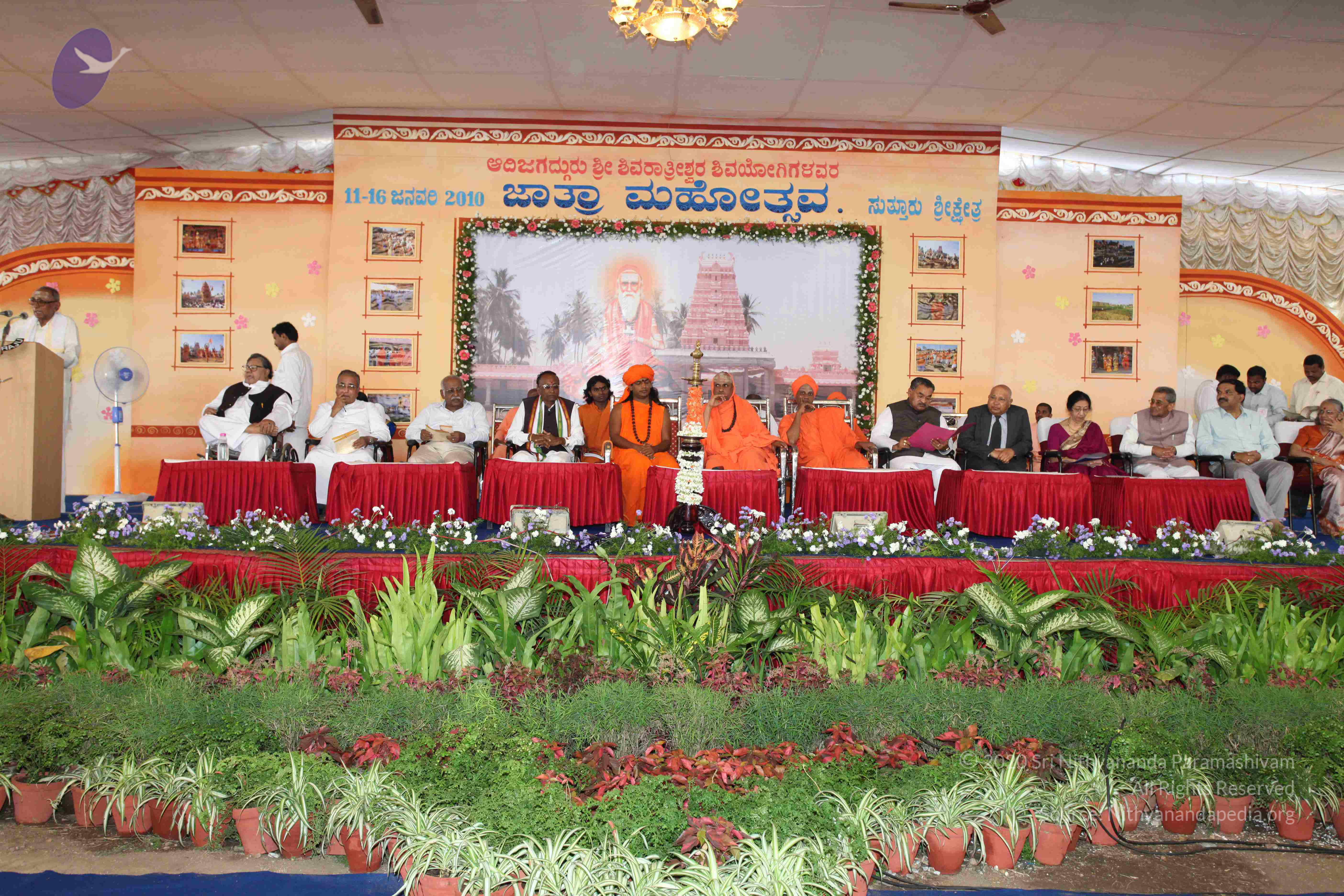 20100113_Photo_1137_IMG_0401_CMP_WM