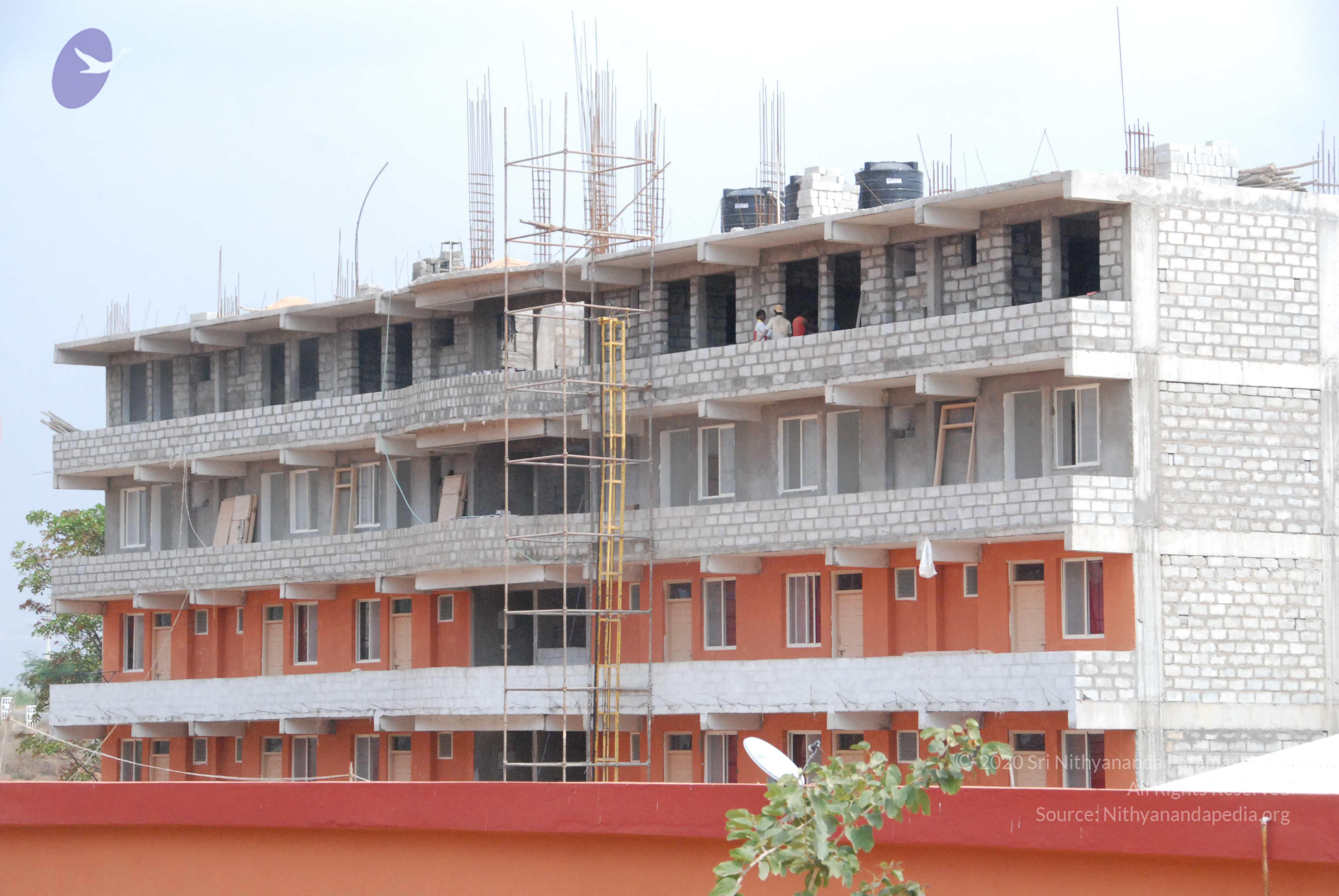 20100113_Photo_1001_DSC_9574_CMP_WM