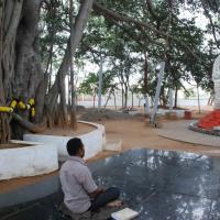 20100113_Photo_1003_DSC_9669_CMP_WM