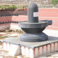 20100113_Photo_1004_DSC_9681_CMP_WM