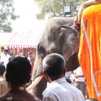 20100113_Photo_1095_IMG_0456_CMP_WM