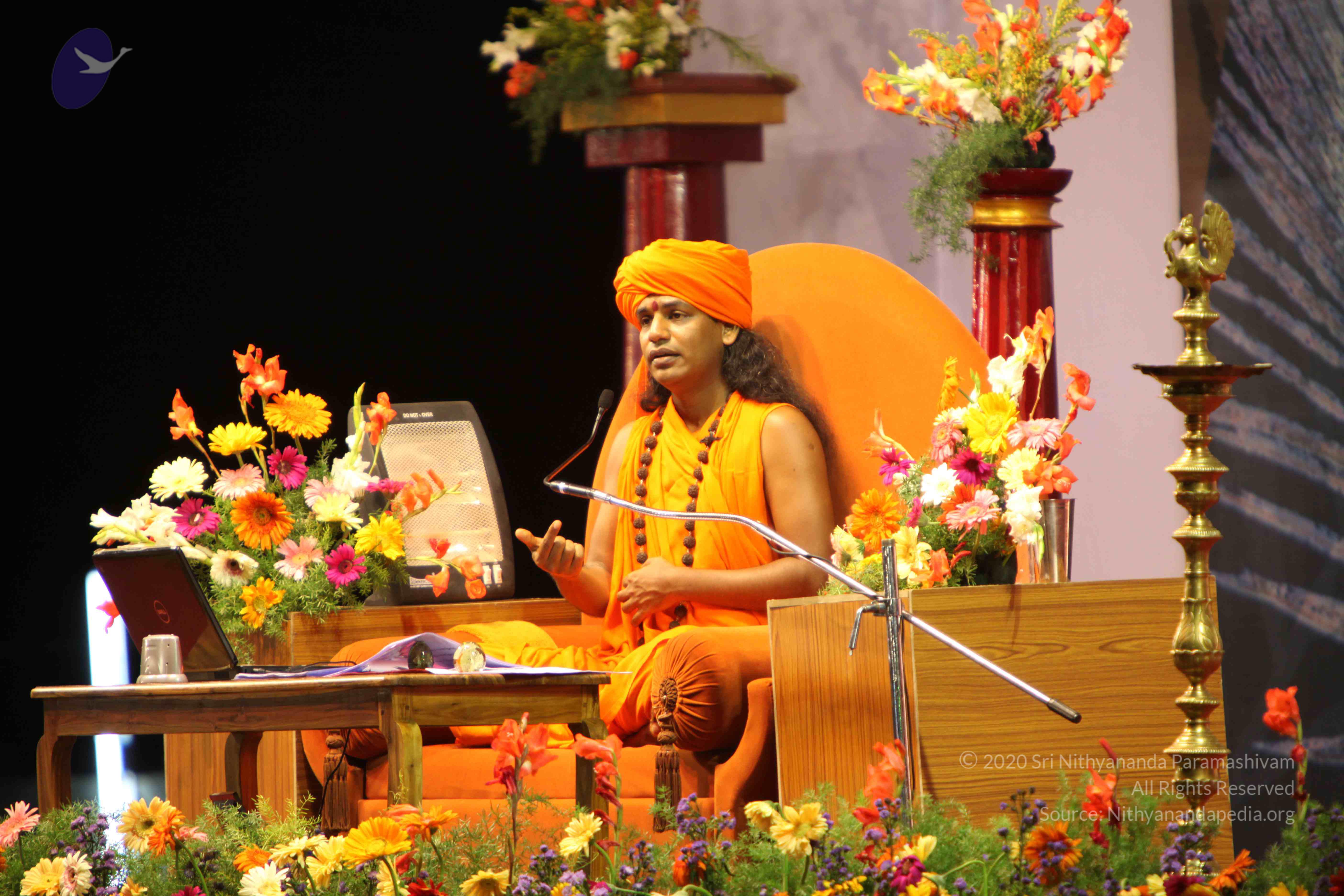 20100120_Photo_1046_IMG_1817_CMP_WM