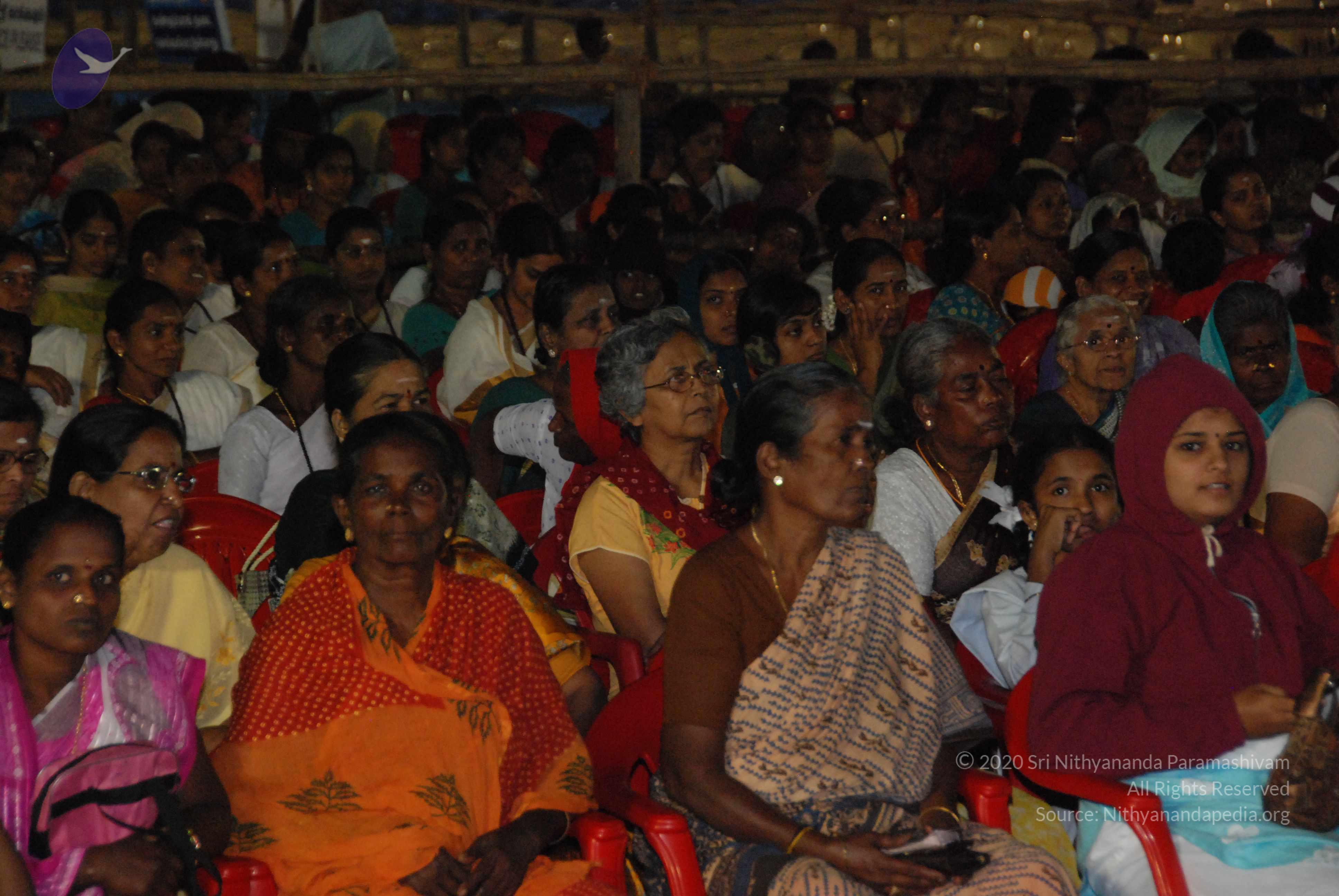 20100120_Photo_1121_DSC_1198_CMP_WM