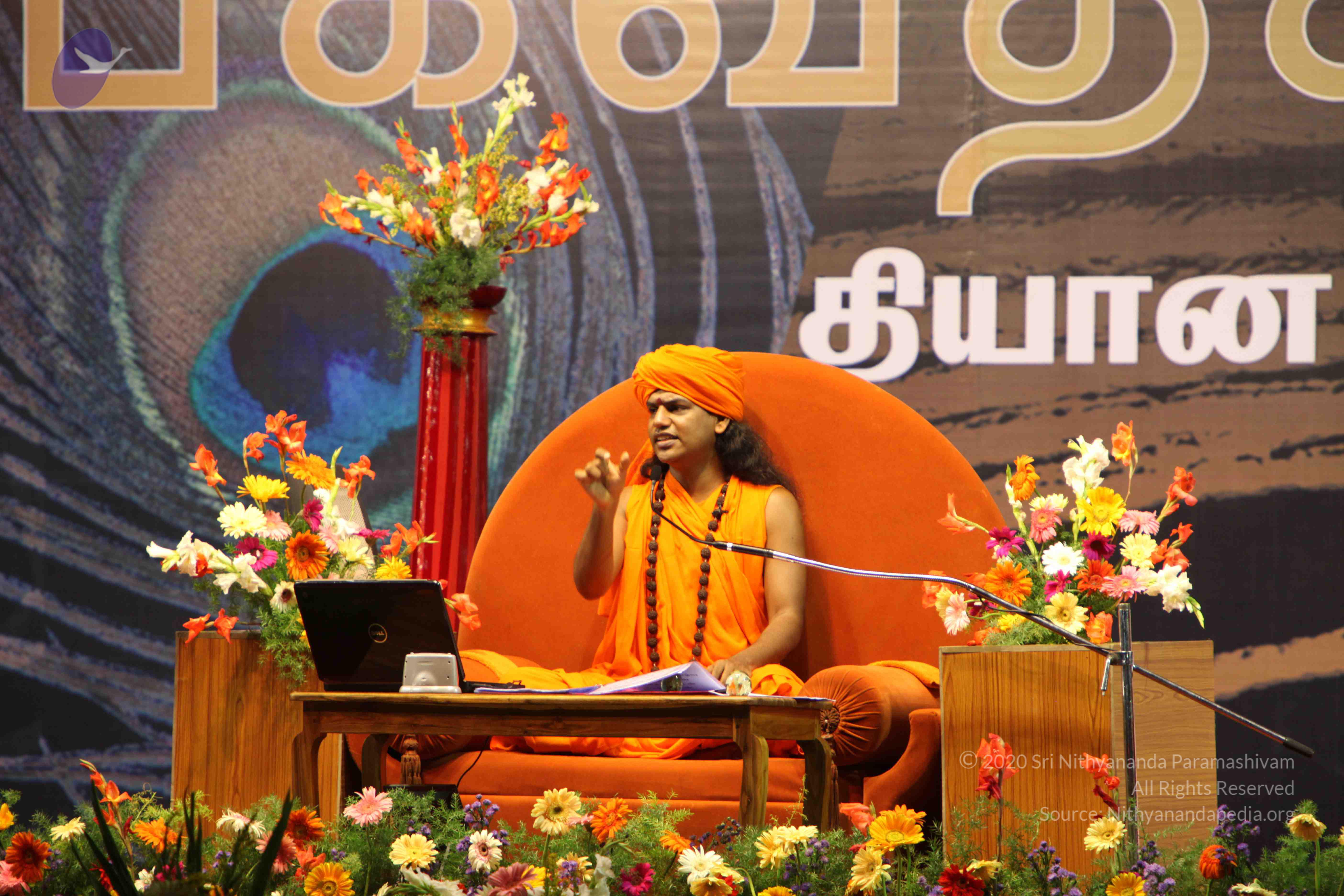 20100120_Photo_1156_IMG_1824_CMP_WM