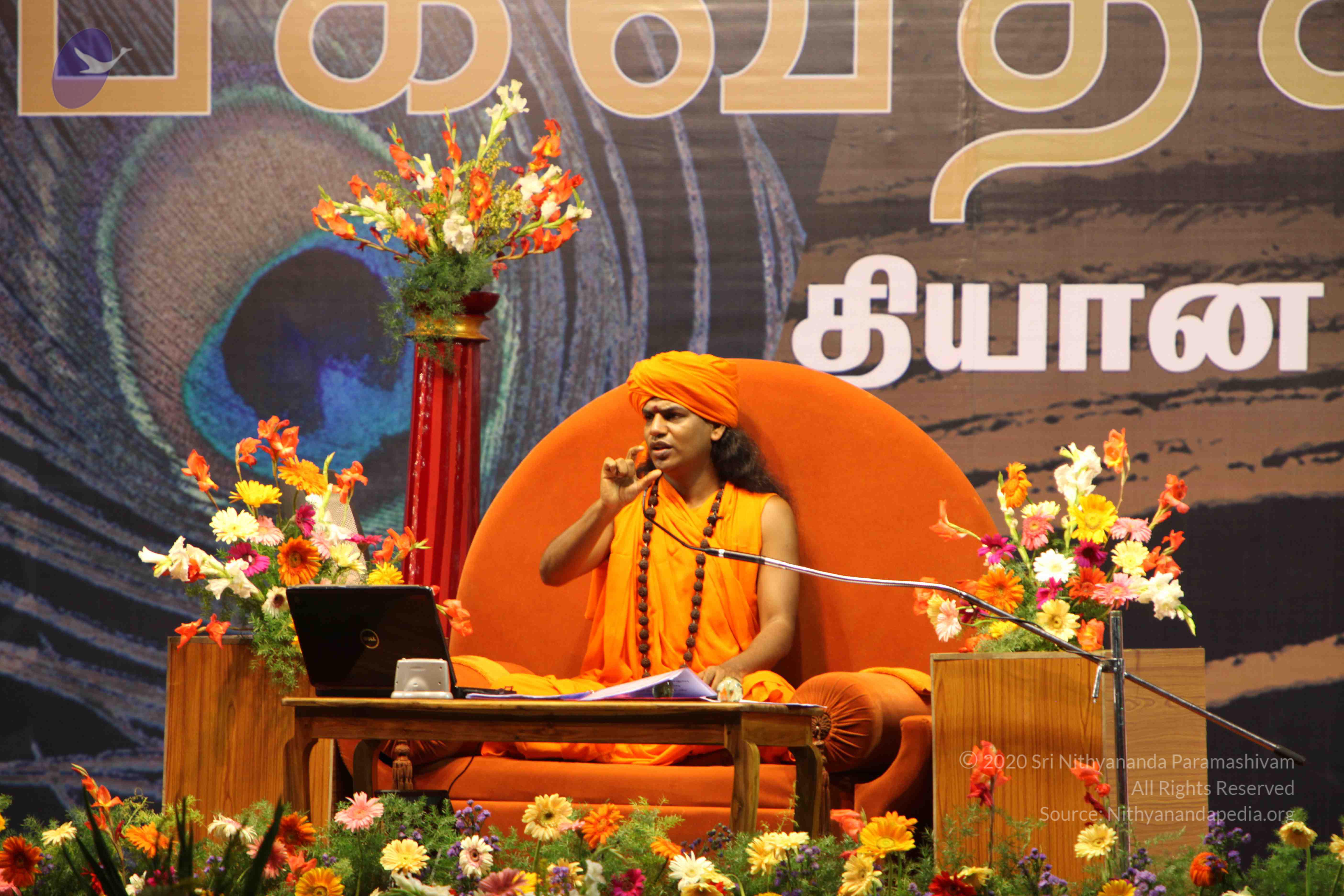 20100120_Photo_1208_IMG_1823_CMP_WM