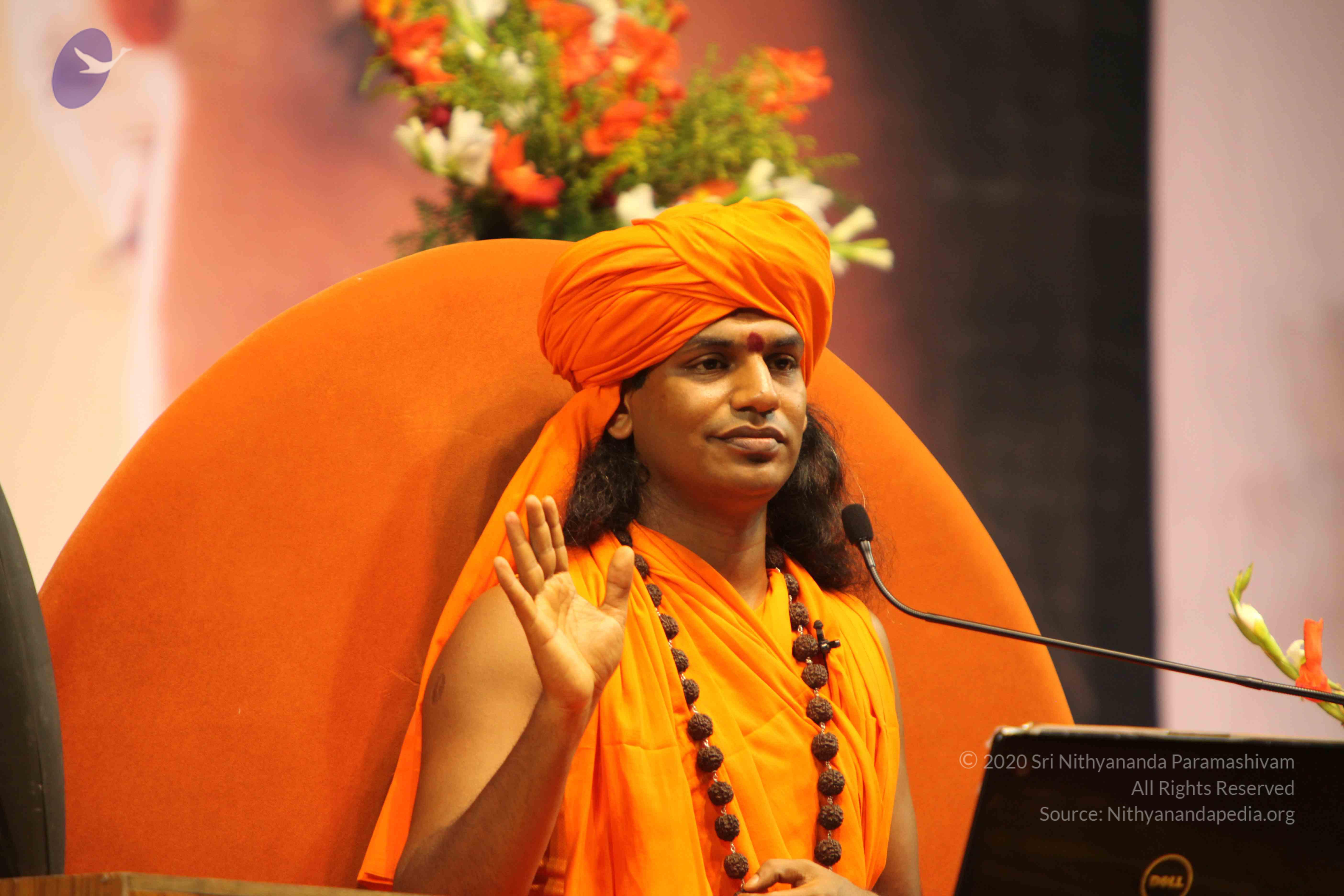 20100120_Photo_1209_IMG_1900_CMP_WM