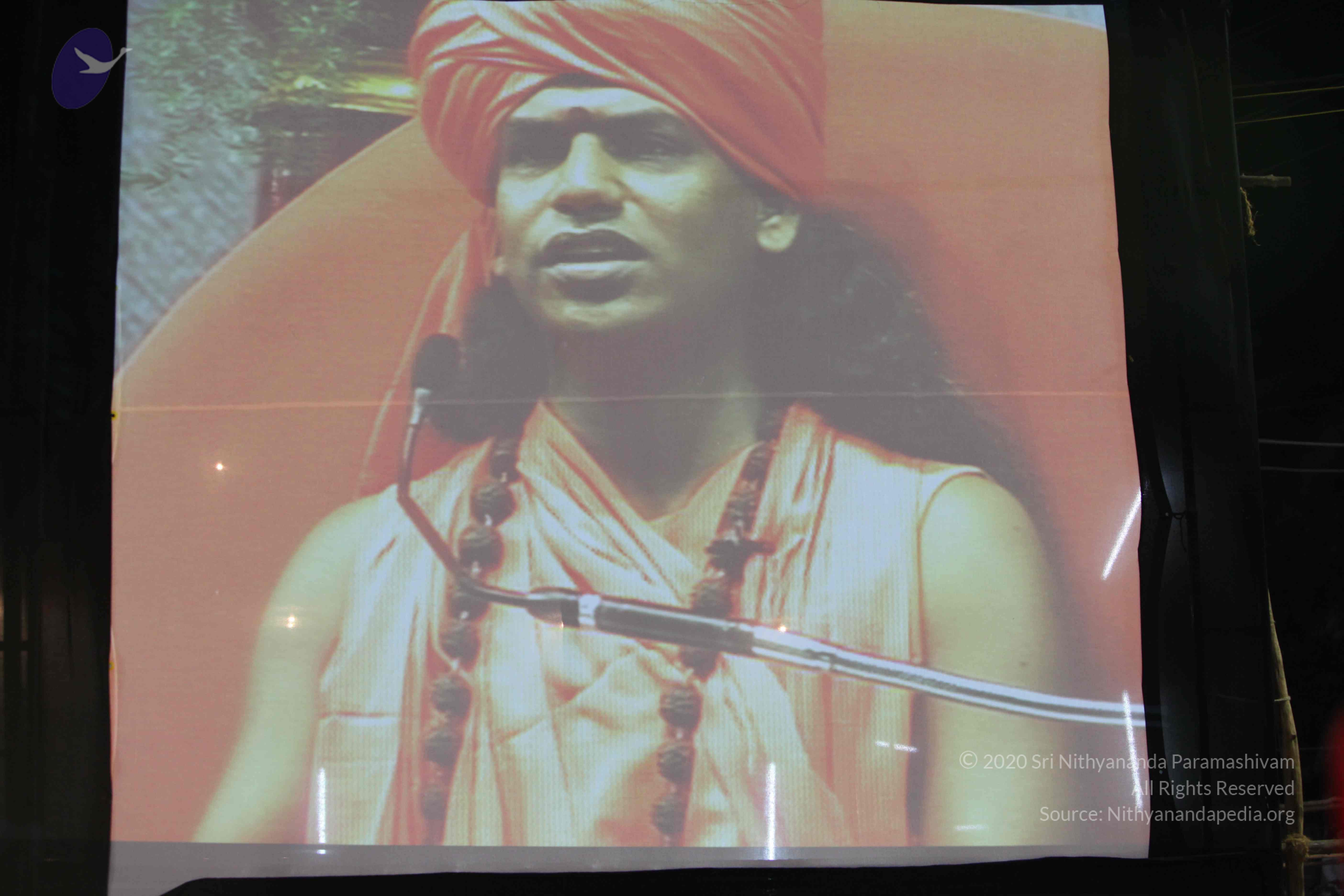 20100120_Photo_1238_IMG_1800_CMP_WM