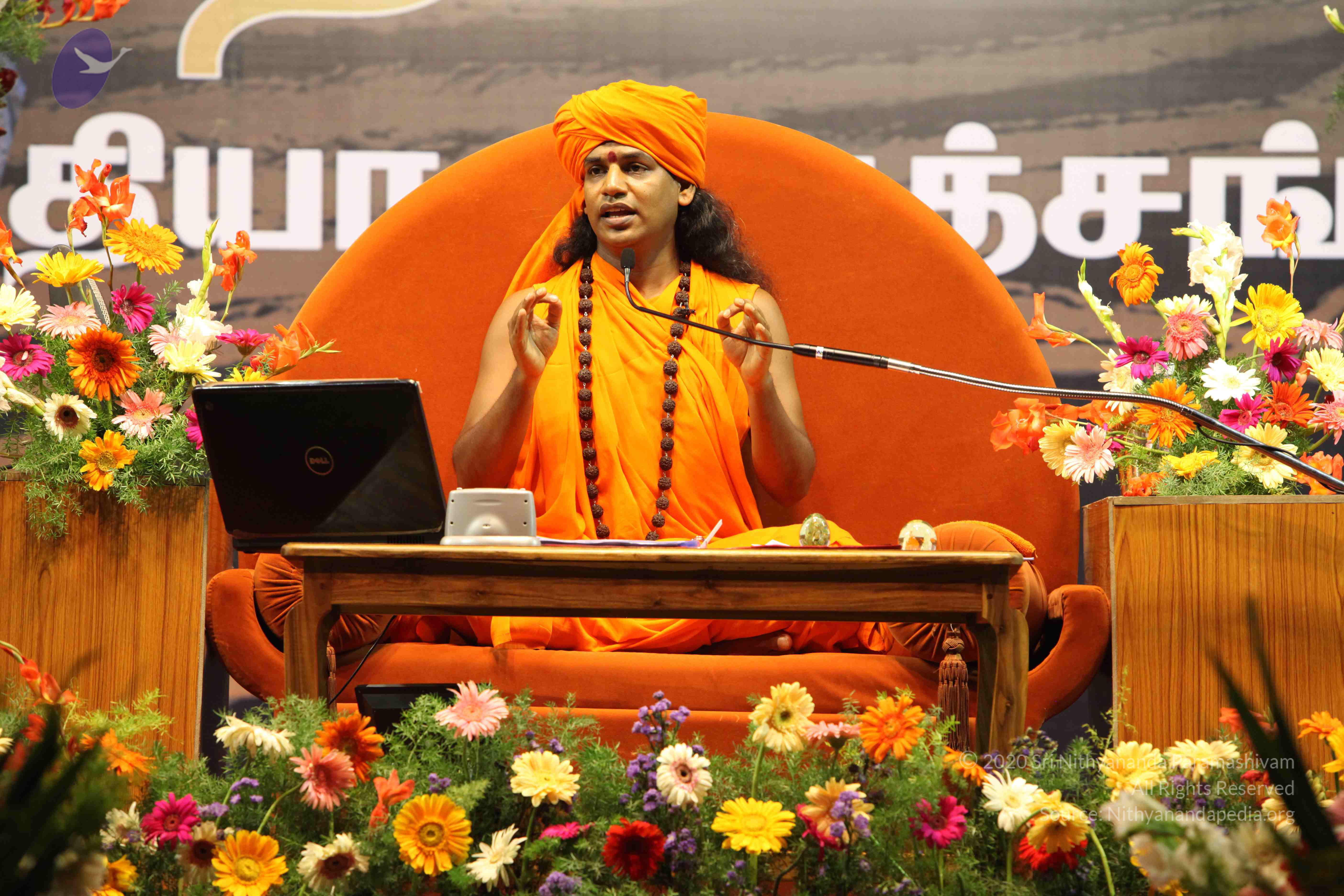 20100120_Photo_1251_IMG_1751_CMP_WM