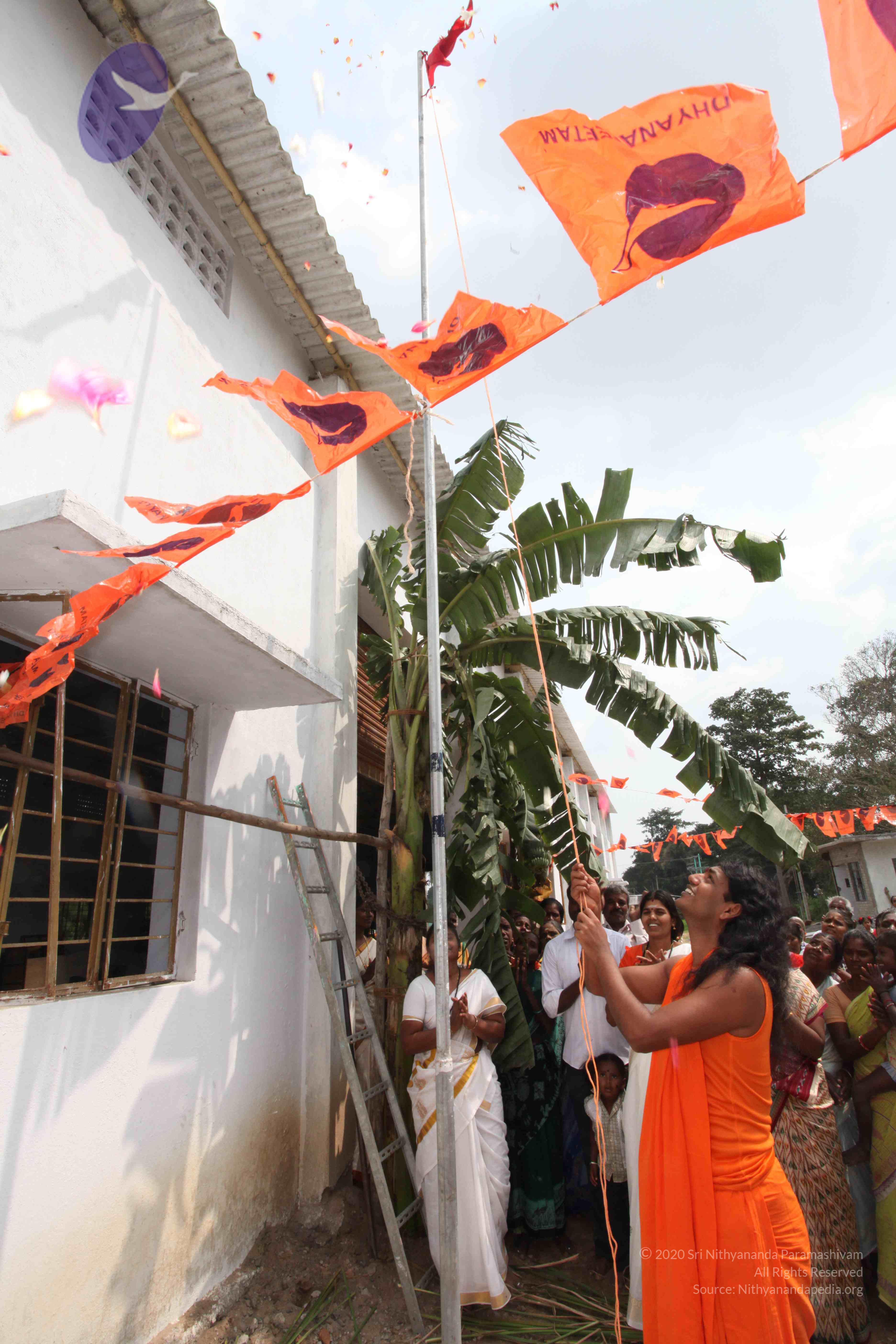 20100120_Photo_1025_IMG_1554_CMP_WM