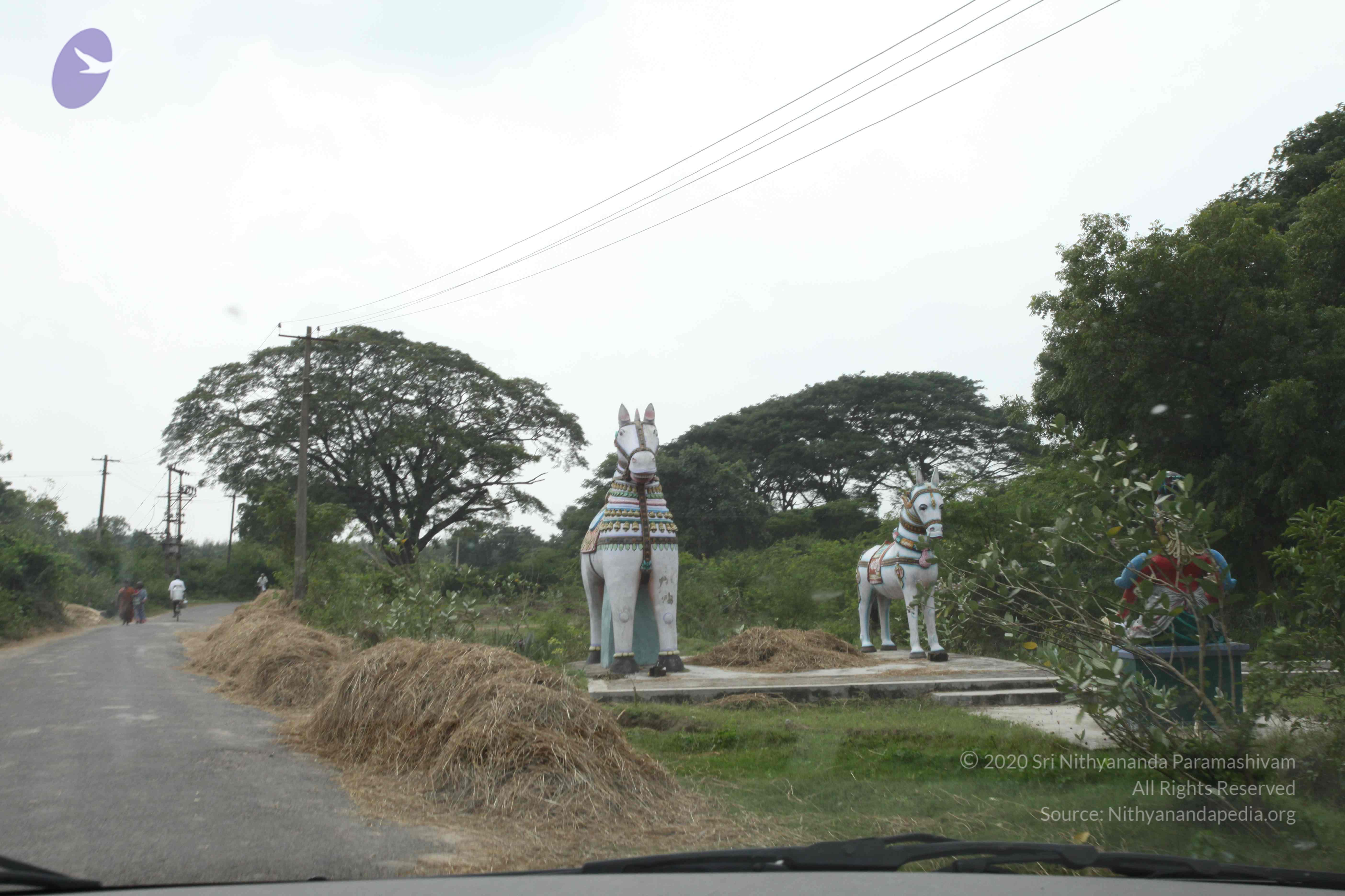 20100120_Photo_1037_IMG_1596_CMP_WM