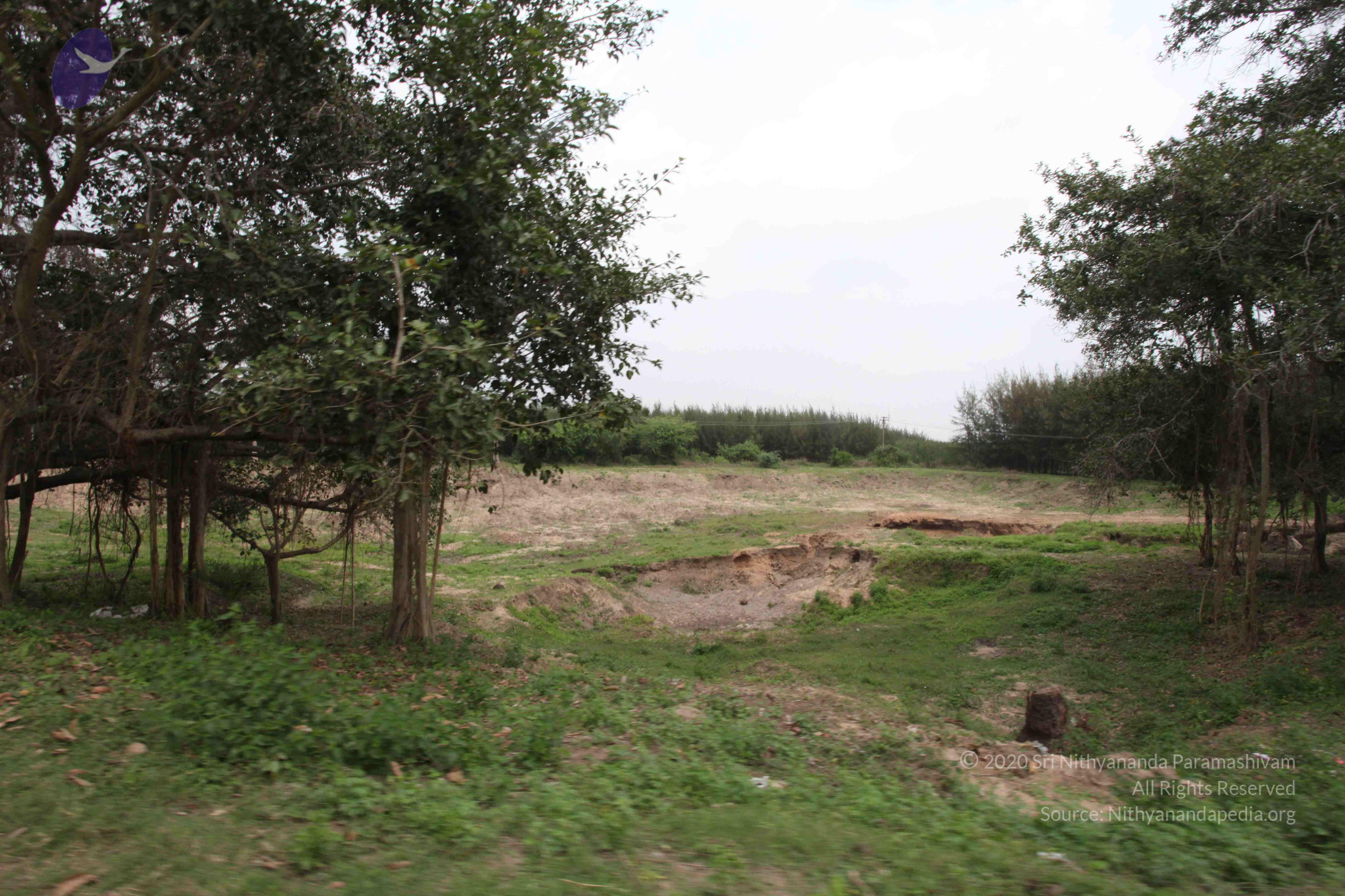 20100120_Photo_1041_IMG_1600_CMP_WM