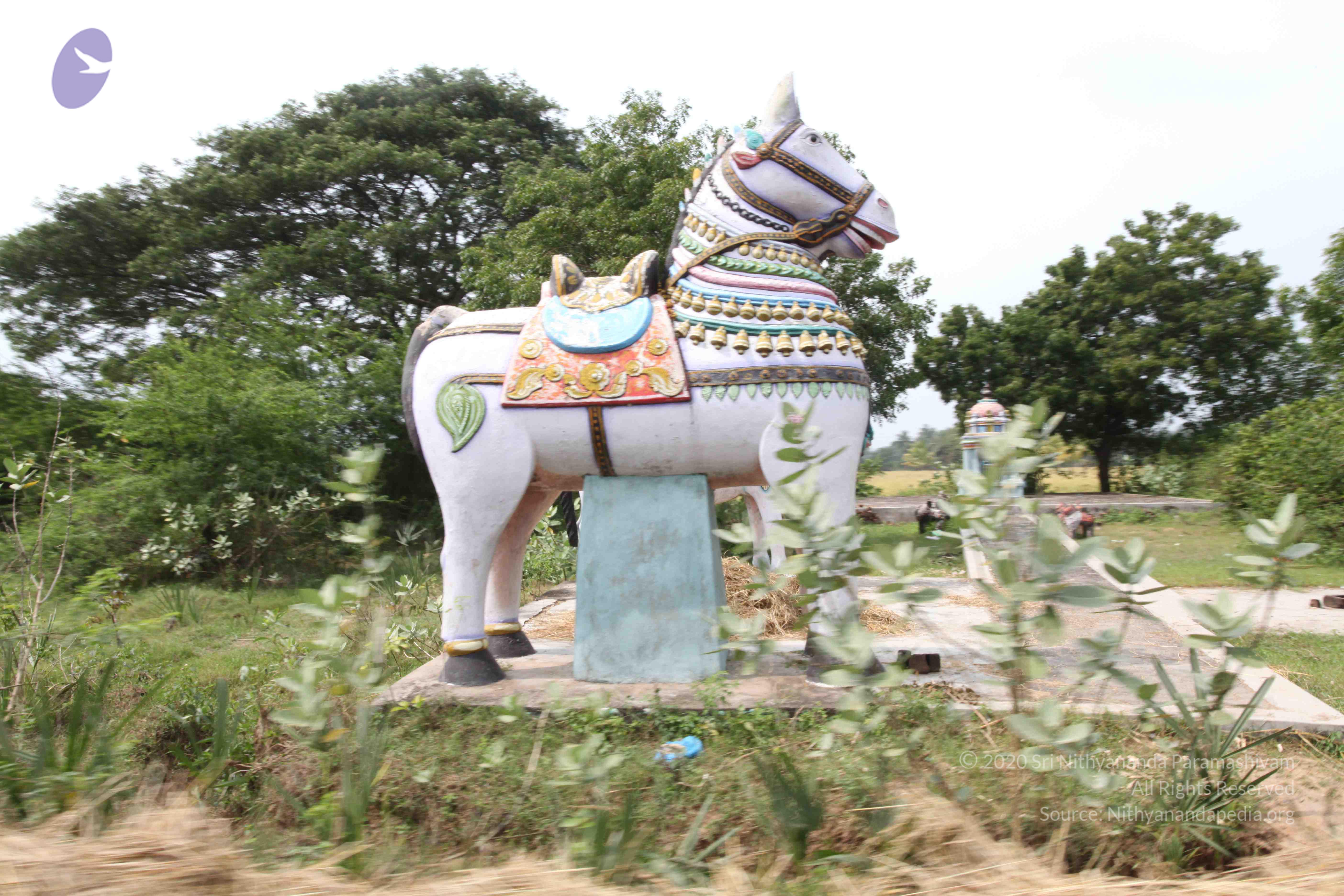 20100120_Photo_1042_IMG_1649_CMP_WM