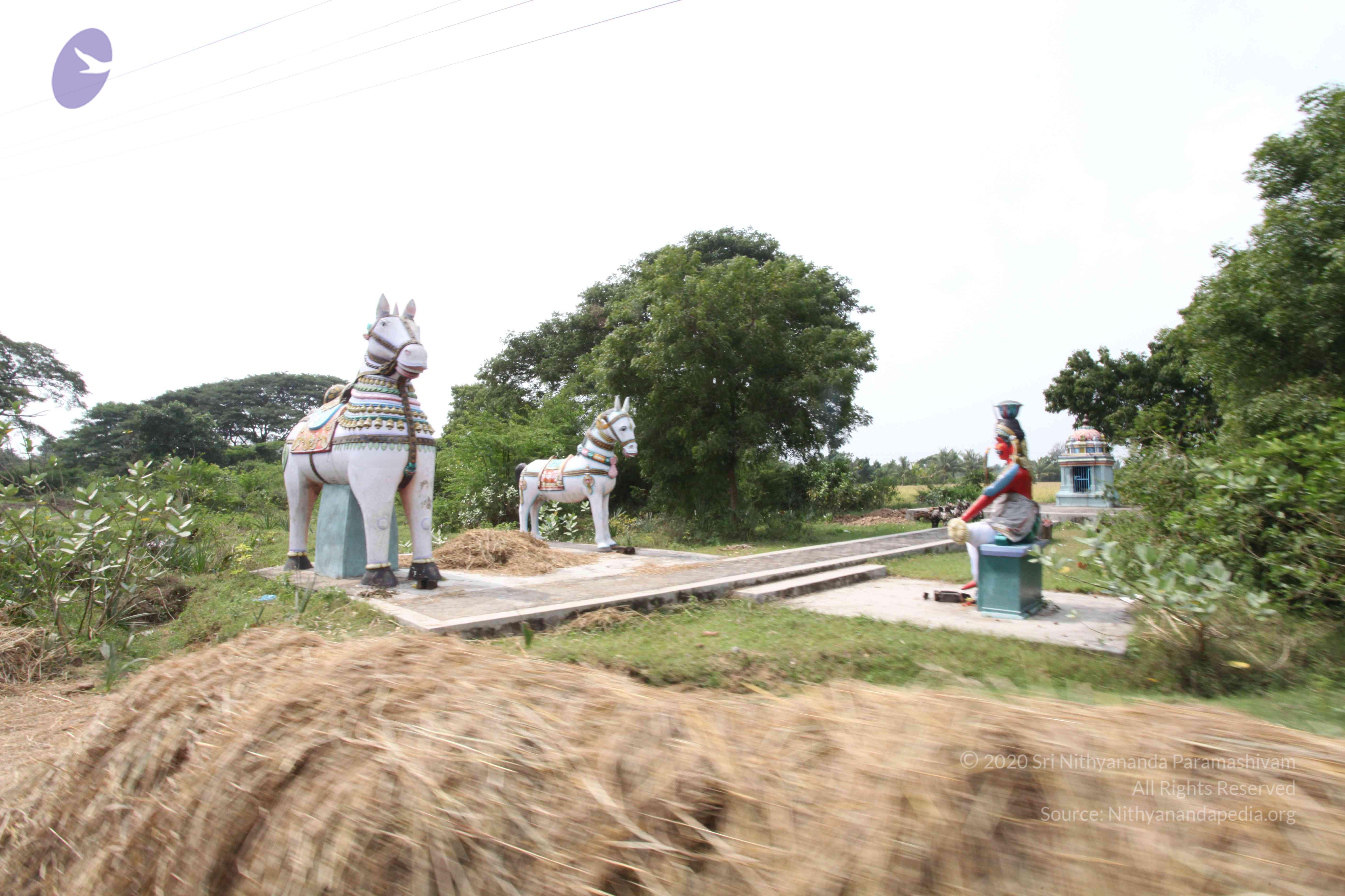 20100120_Photo_1061_IMG_1650_CMP_WM