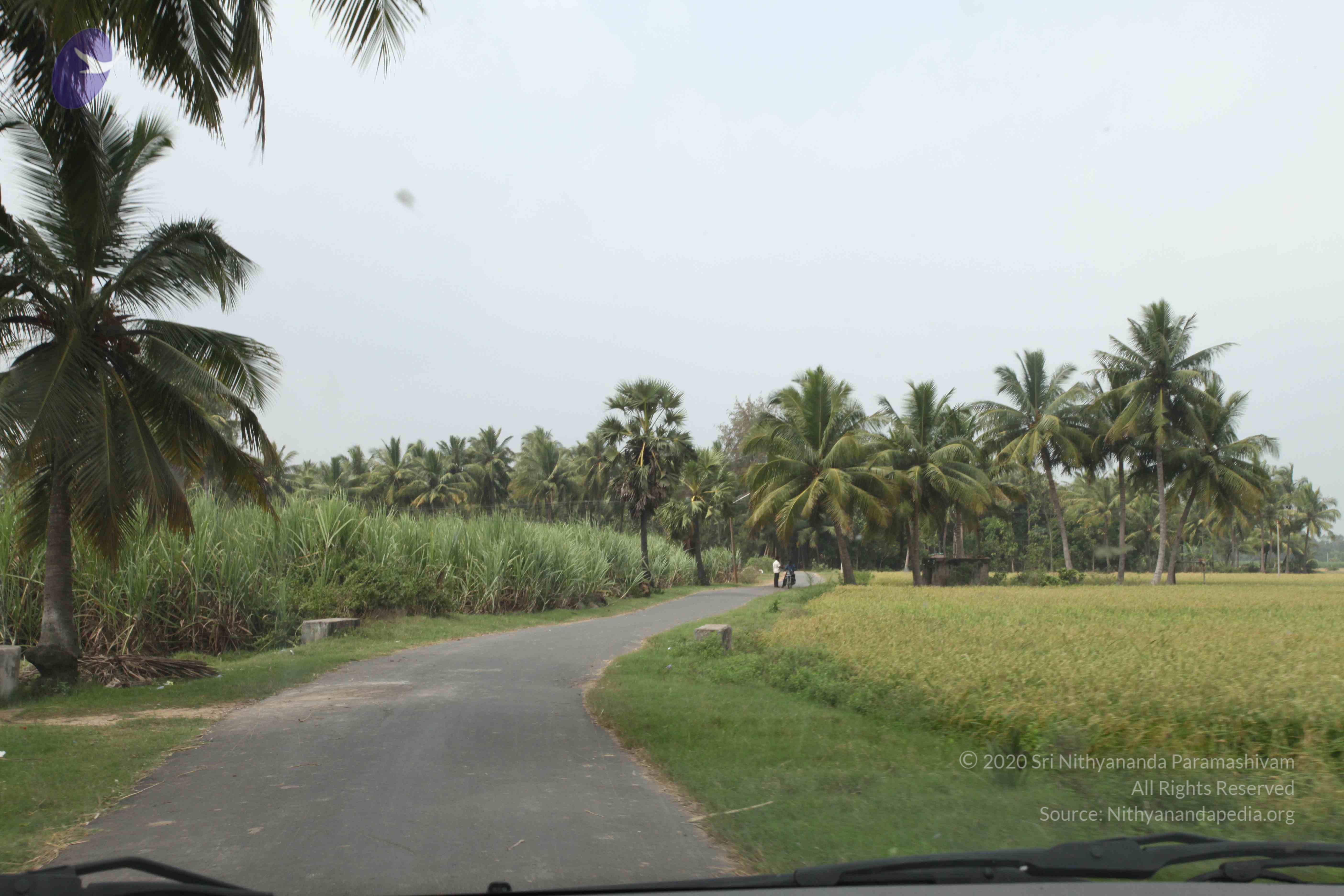 20100120_Photo_1066_IMG_1593_CMP_WM