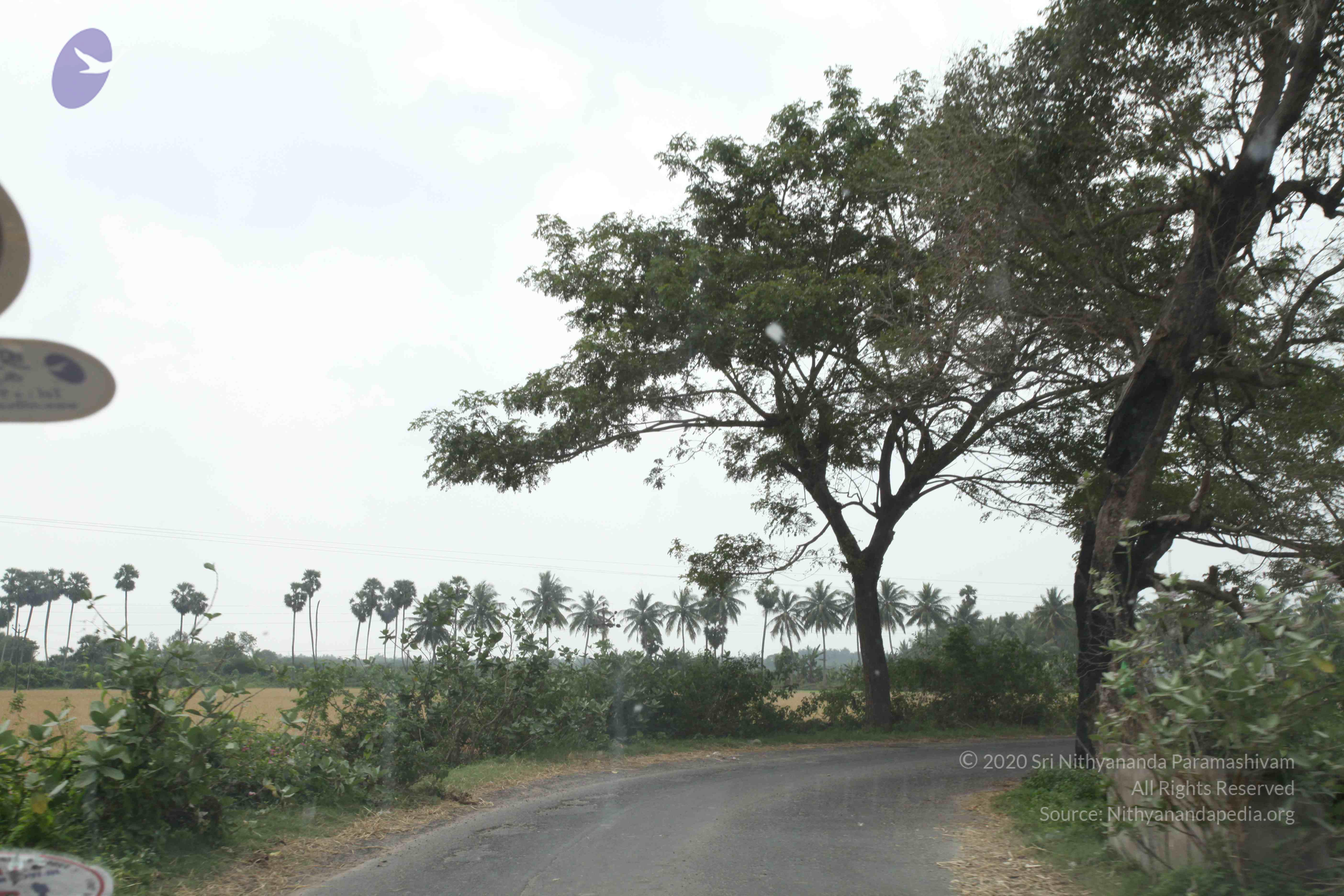 20100120_Photo_1094_IMG_1595_CMP_WM