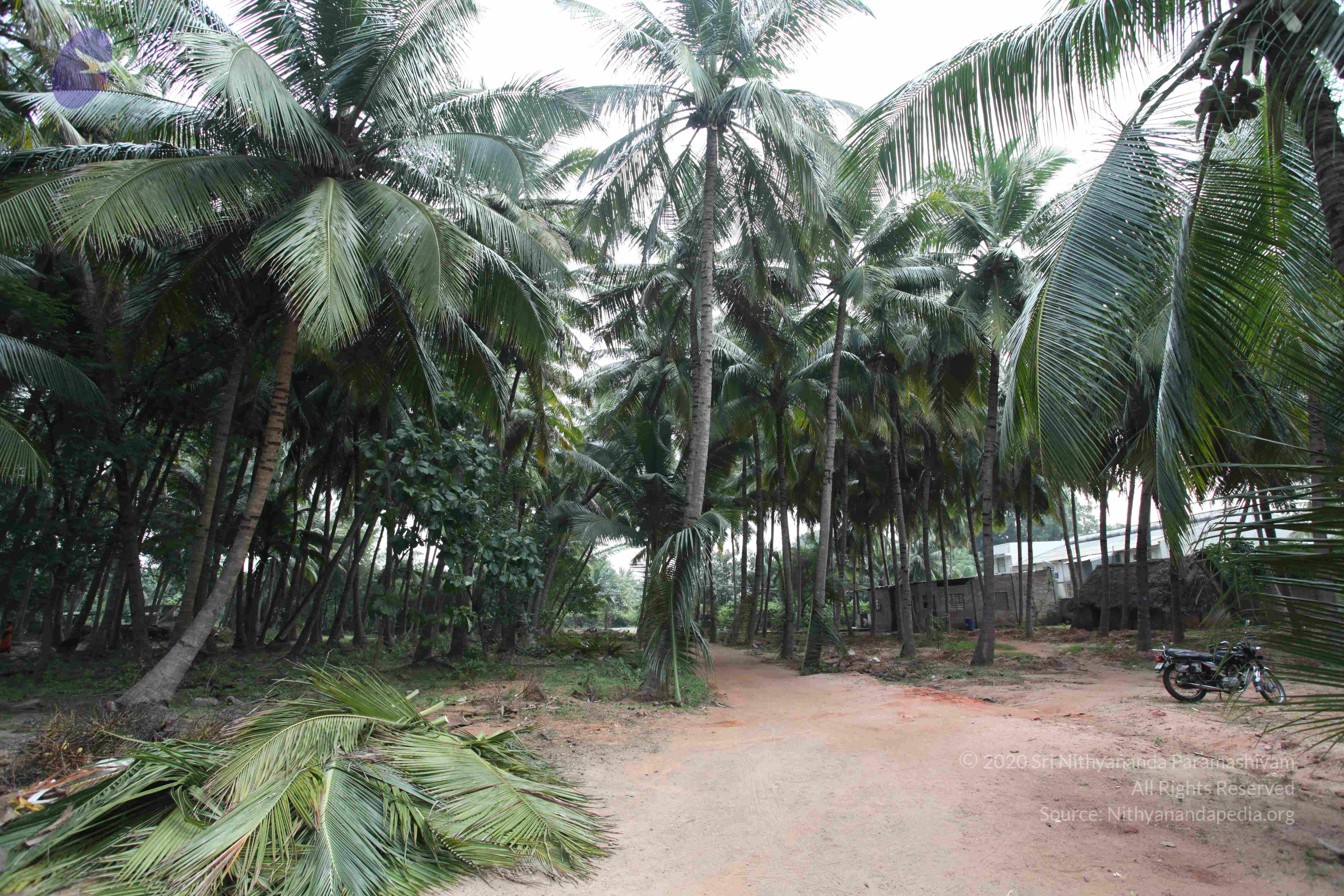 20100120_Photo_1102_IMG_1468_CMP_WM