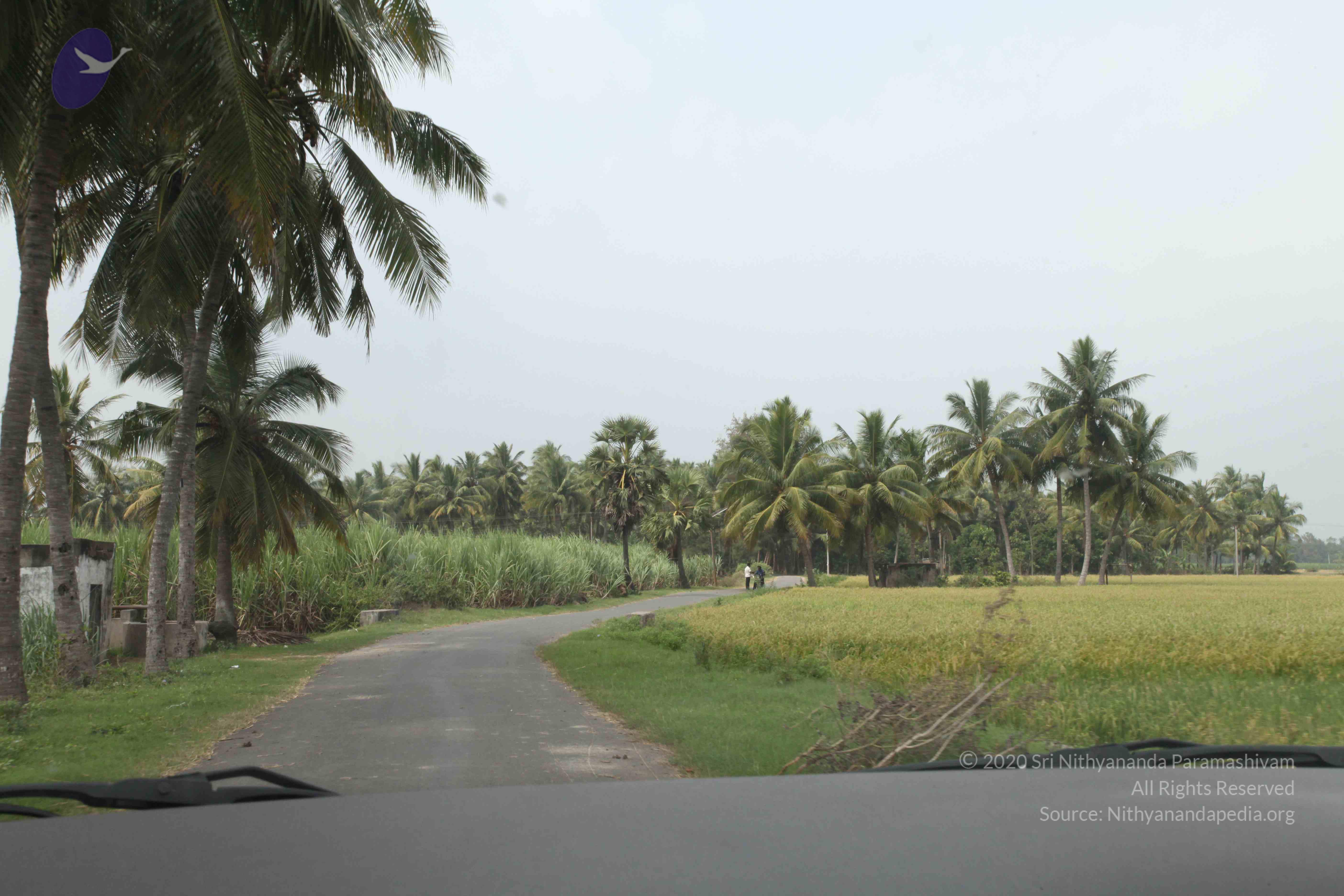 20100120_Photo_1107_IMG_1592_CMP_WM