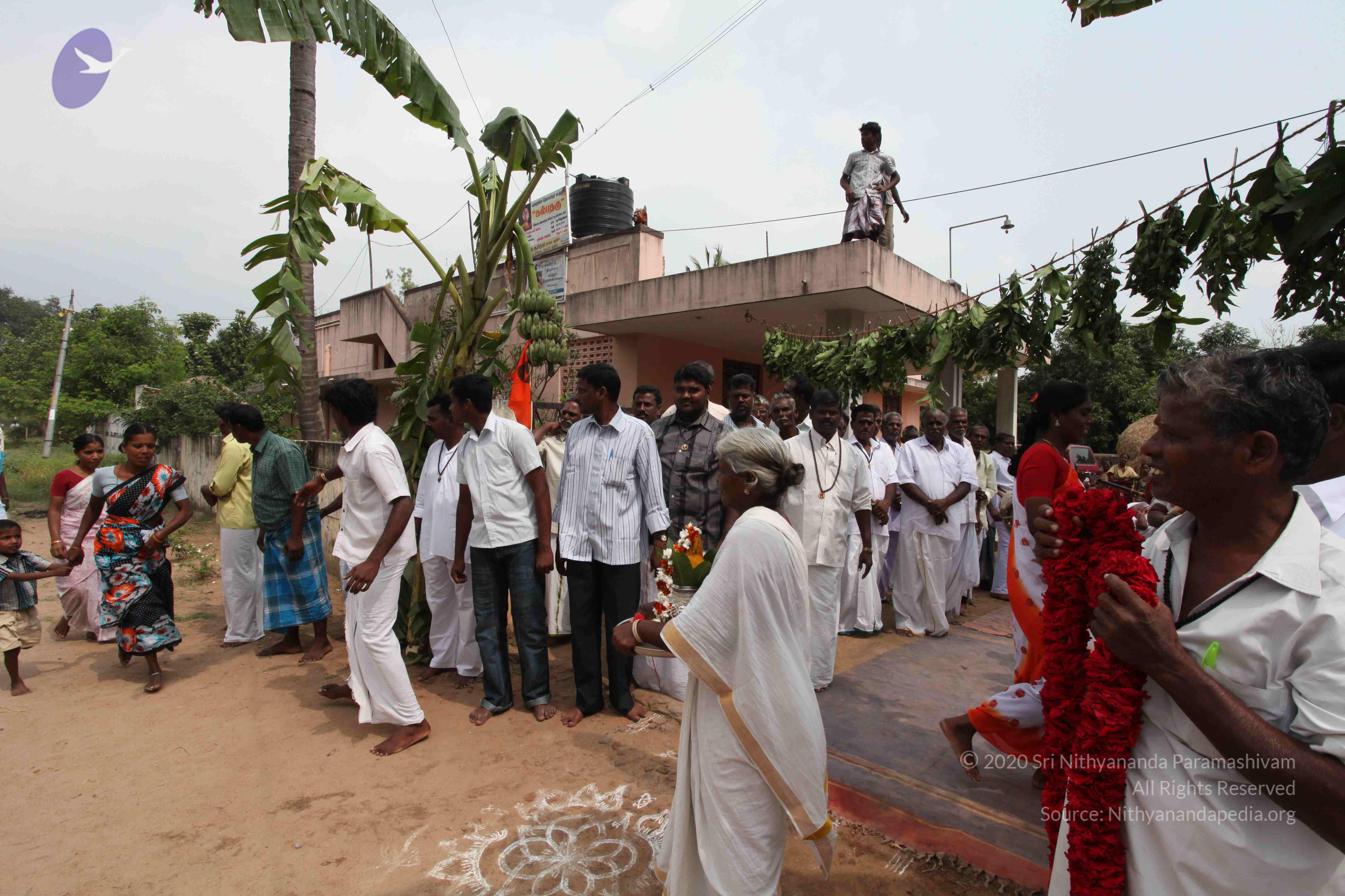 20100120_Photo_1117_IMG_1654_CMP_WM