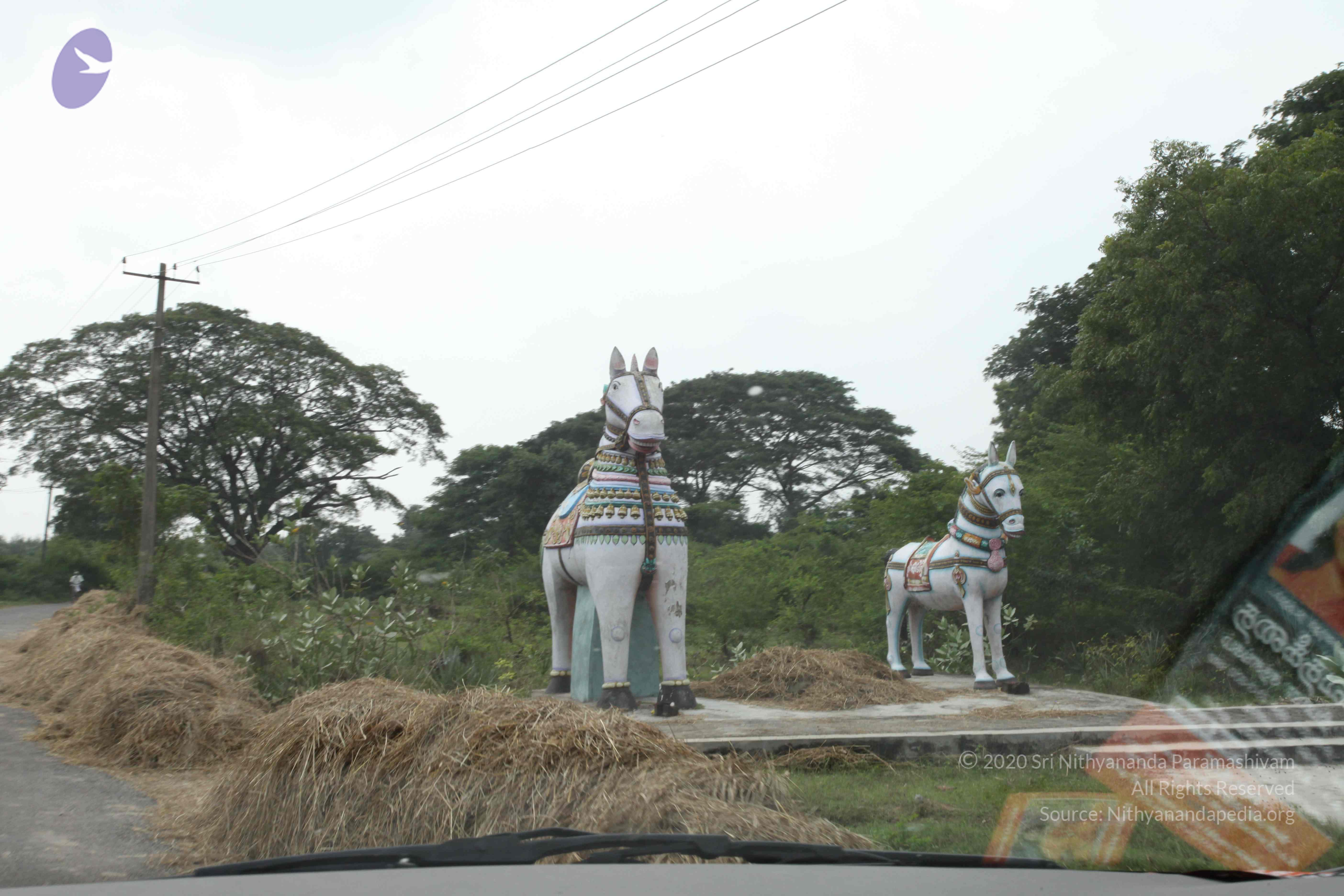 20100120_Photo_1120_IMG_1597_CMP_WM