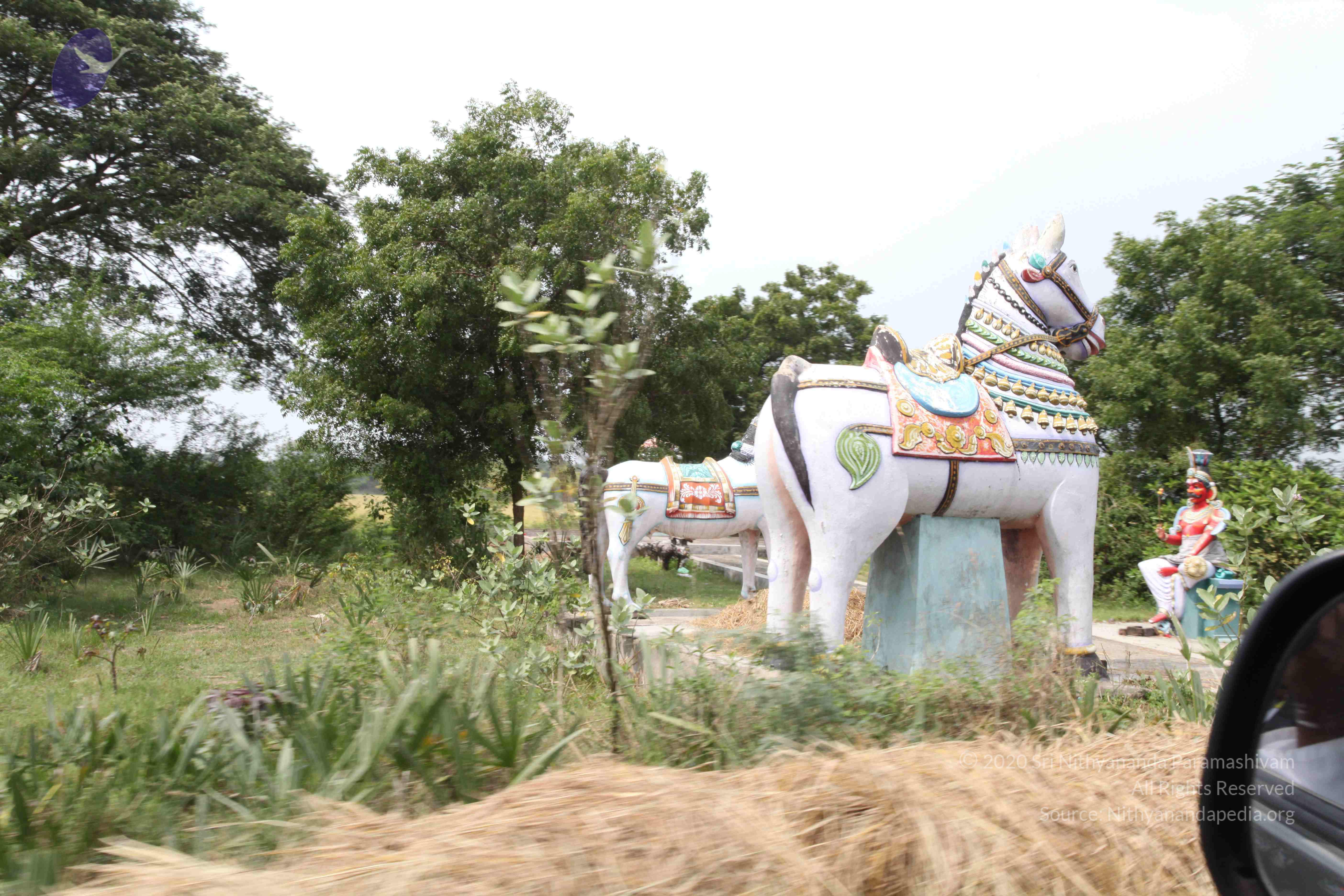 20100120_Photo_1121_IMG_1648_CMP_WM