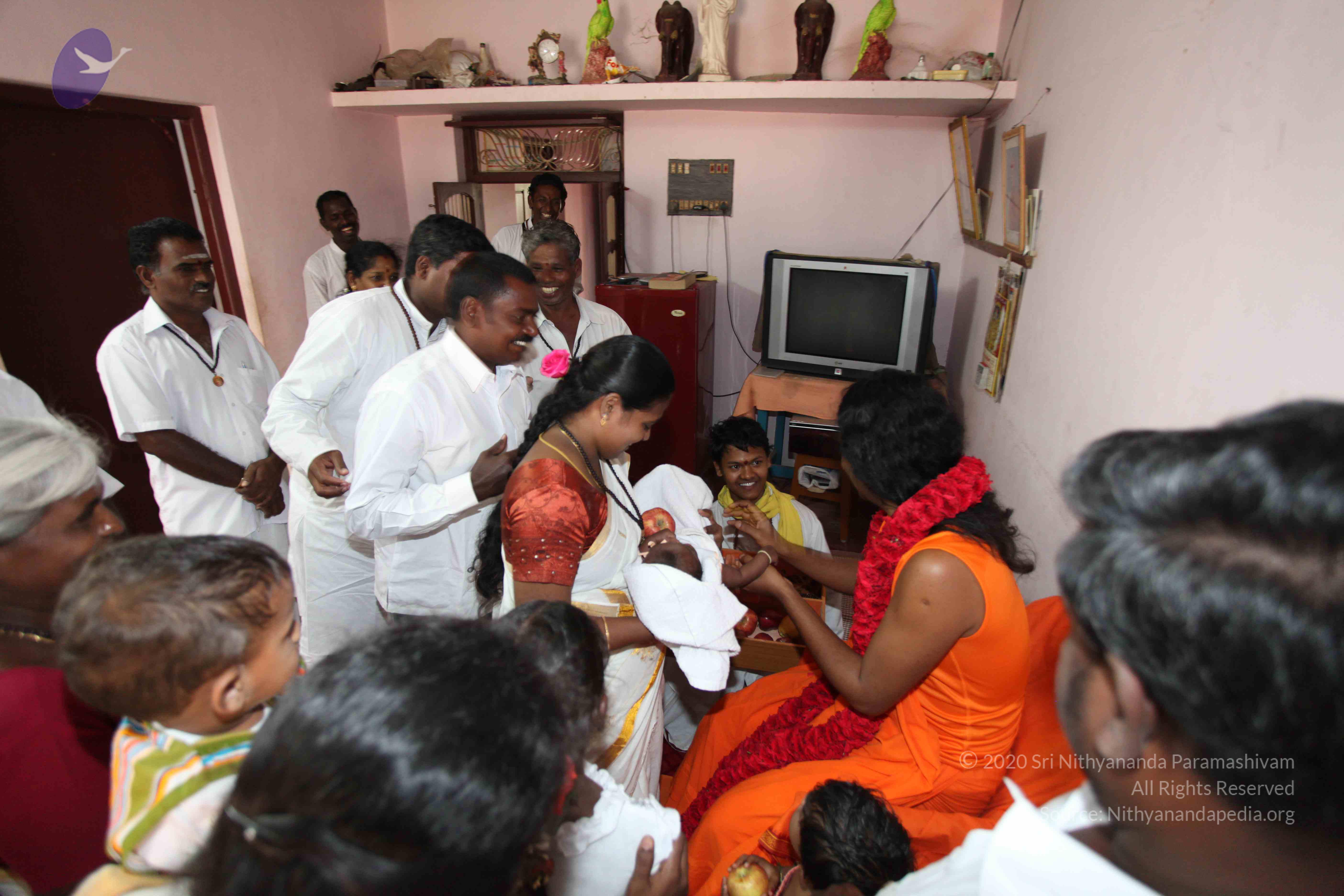 20100120_Photo_1131_IMG_1672_CMP_WM