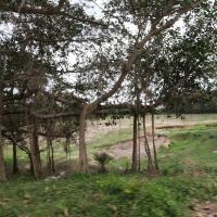 20100120_Photo_1020_IMG_1599_CMP_WM