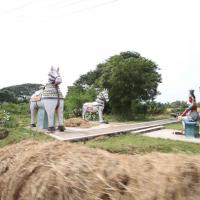 20100120_Photo_1061_IMG_1650_CMP_WM