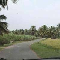 20100120_Photo_1066_IMG_1593_CMP_WM