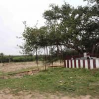 20100120_Photo_1118_IMG_1601_CMP_WM