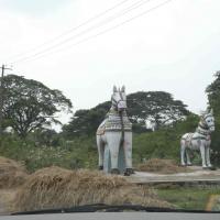 20100120_Photo_1120_IMG_1597_CMP_WM