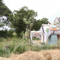 20100120_Photo_1121_IMG_1648_CMP_WM