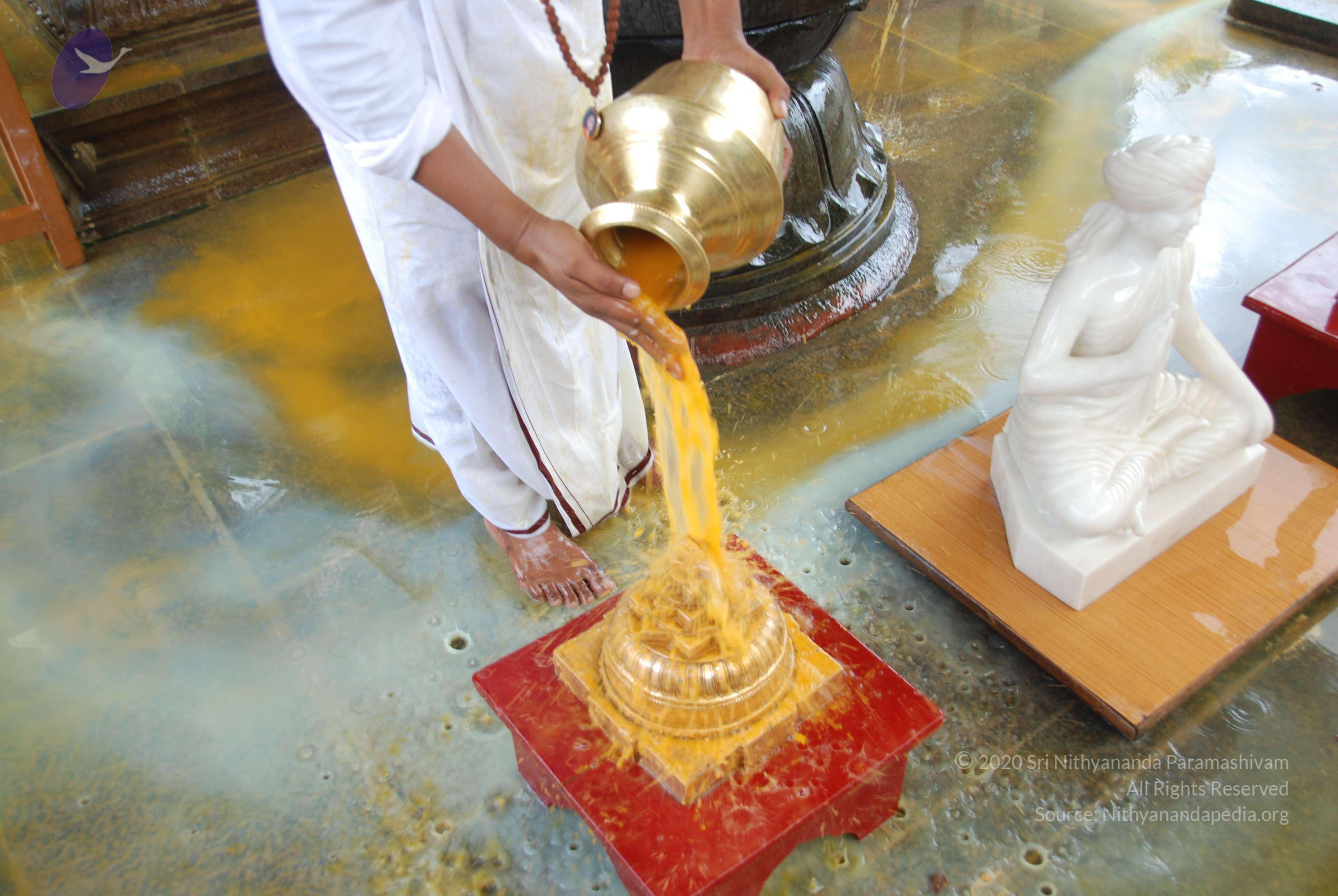 20100705_Photo_1008_DSC_4782_CMP_WM