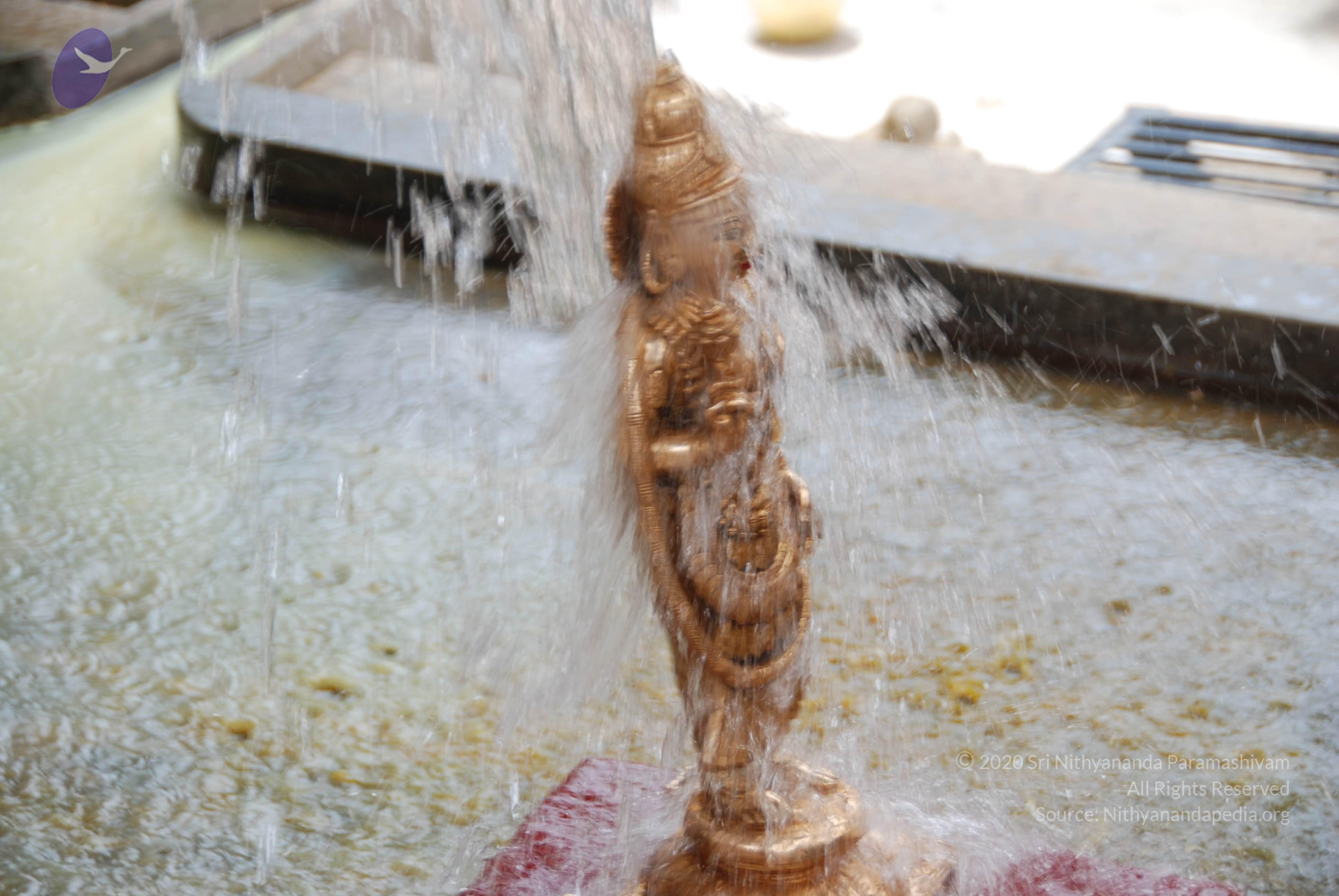 20100705_Photo_1012_DSC_4771_CMP_WM