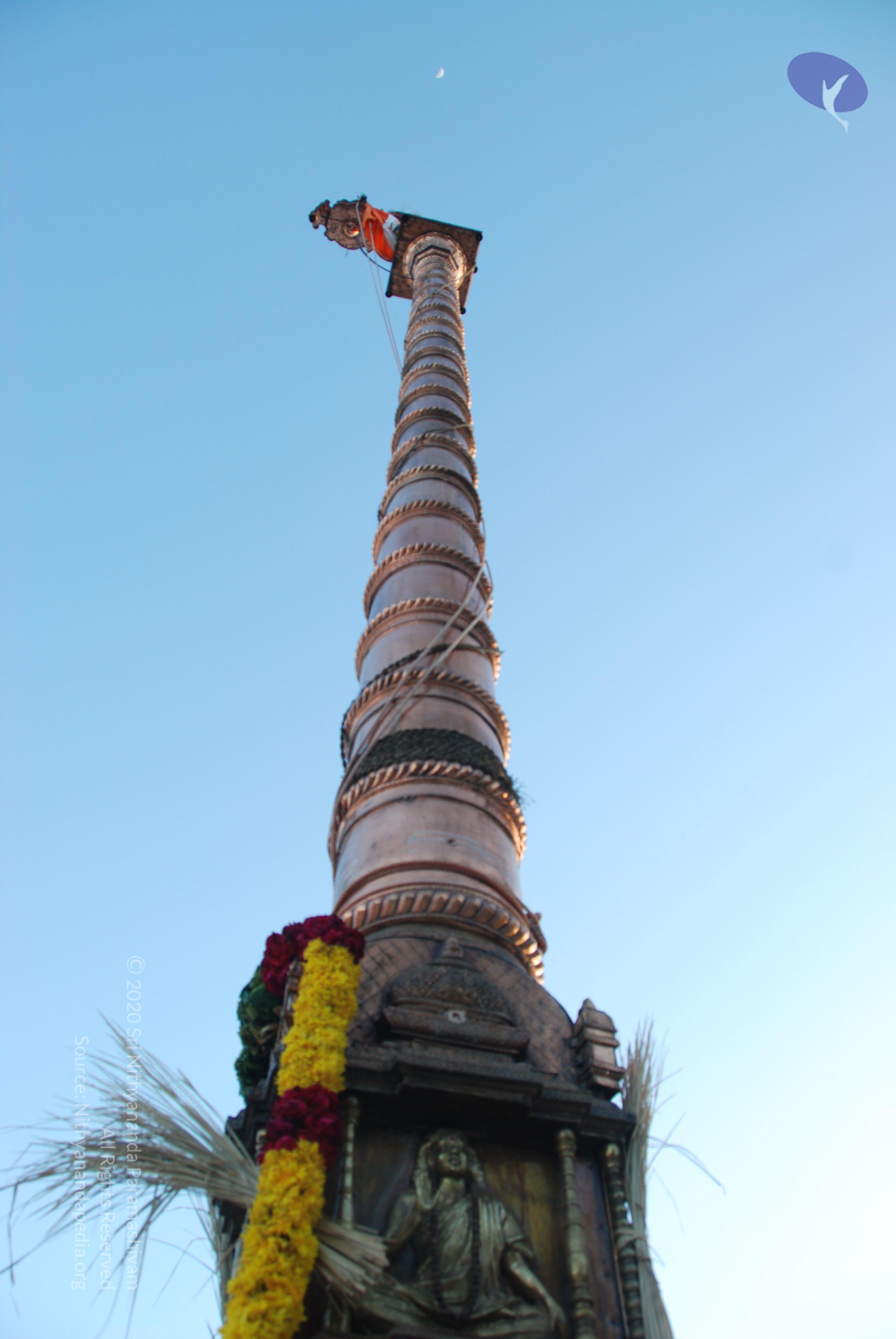 20100705_Photo_1013_DSC_4650_CMP_WM