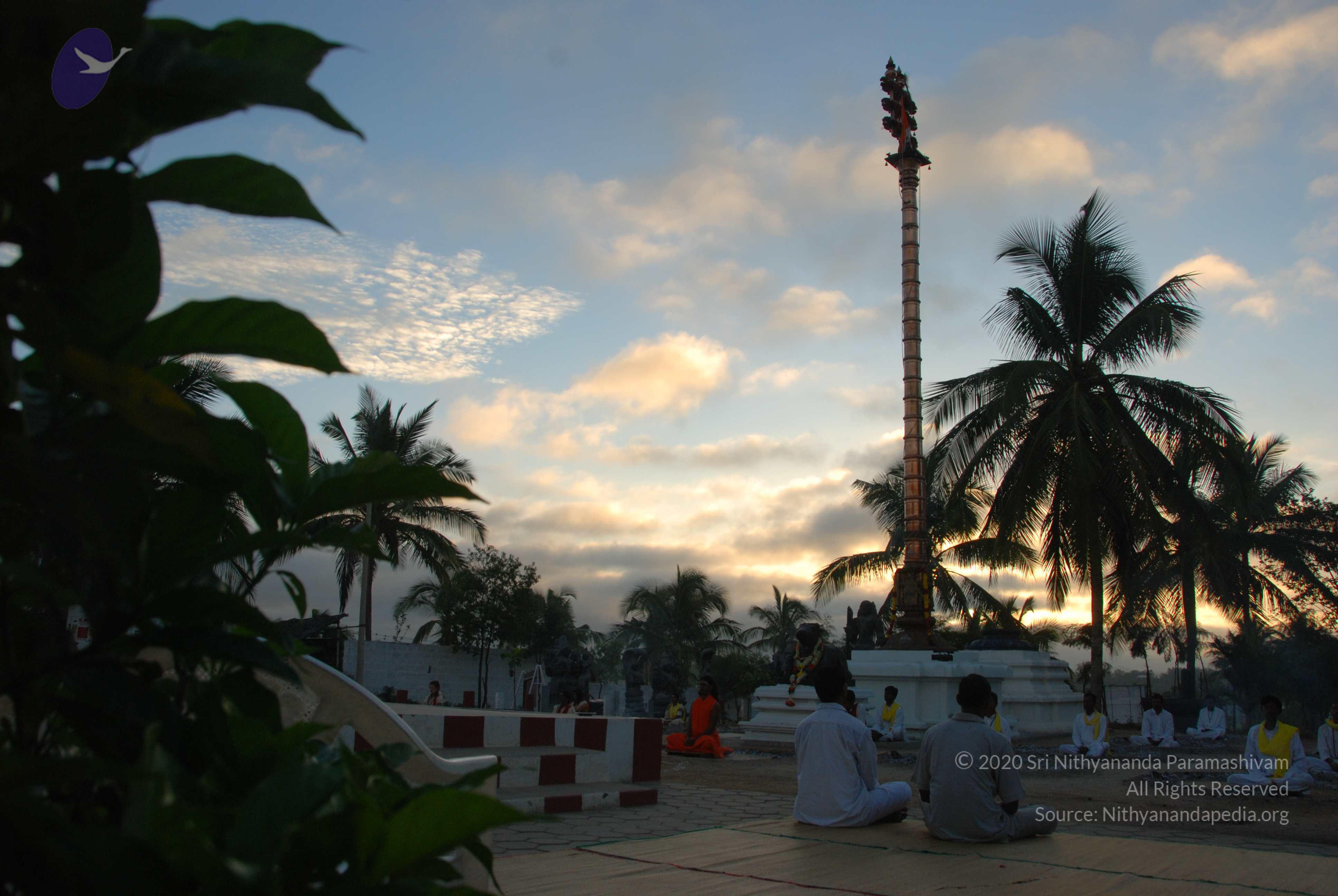 20100705_Photo_1020_DSC_4635_CMP_WM