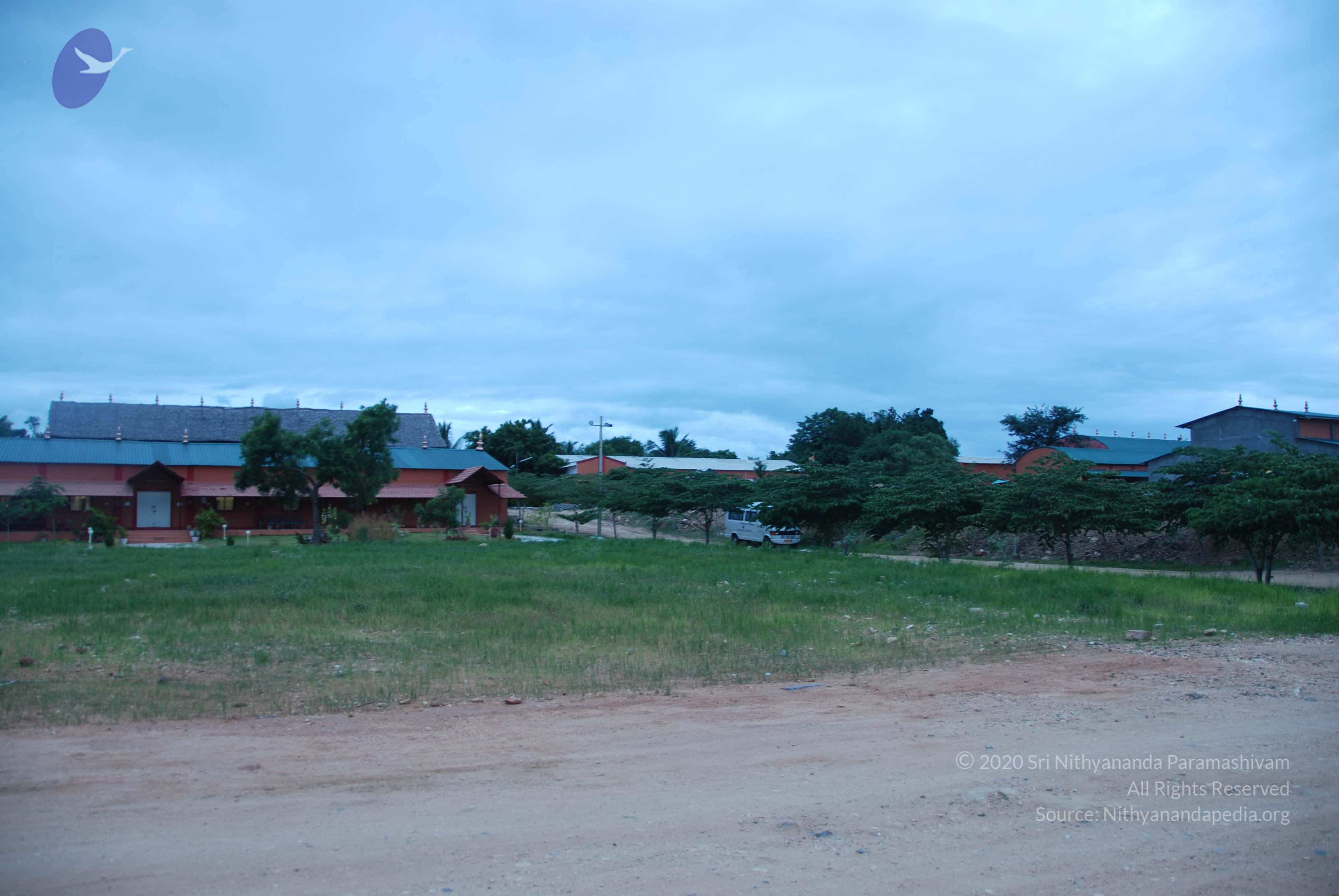 20100705_Photo_1007_DSC_4910_CMP_WM