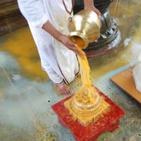 20100705_Photo_1008_DSC_4782_CMP_WM