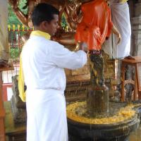 20100705_Photo_1009_DSC_4781_CMP_WM