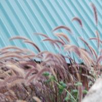 20100705_Photo_1000_DSC_4844_CMP_WM