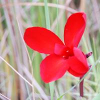 20100705_Photo_1001_DSC_4819_CMP_WM