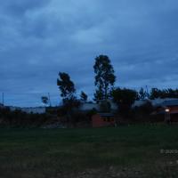 20100705_Photo_1003_DSC_4900_CMP_WM