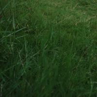 20100705_Photo_1004_DSC_4857_CMP_WM