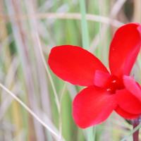 20100705_Photo_1006_DSC_4818_CMP_WM