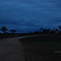 20100705_Photo_1008_DSC_4904_CMP_WM