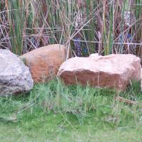 20100705_Photo_1009_DSC_4864_CMP_WM