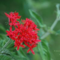 20100705_Photo_1010_DSC_4875_CMP_WM